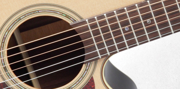 TAKAMAINE P5NC Pro Series 5