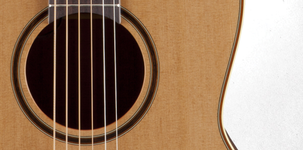 TAKAMAINE P3NY Pro Series 3