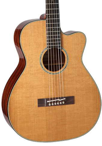 TAKAMAINE EF740FS TT Thermal Top