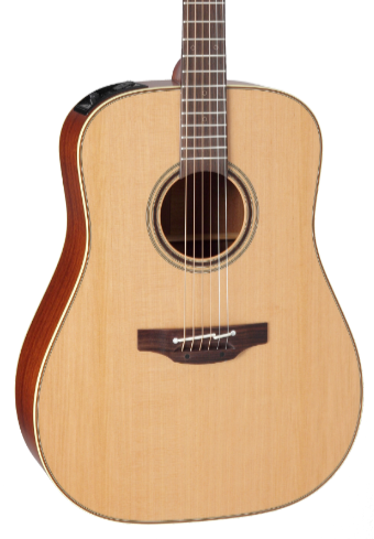 TAKAMAINE P3D Pro Series 3