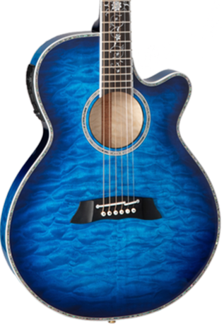 TAKAMAINE TSP100 DBS Thinline