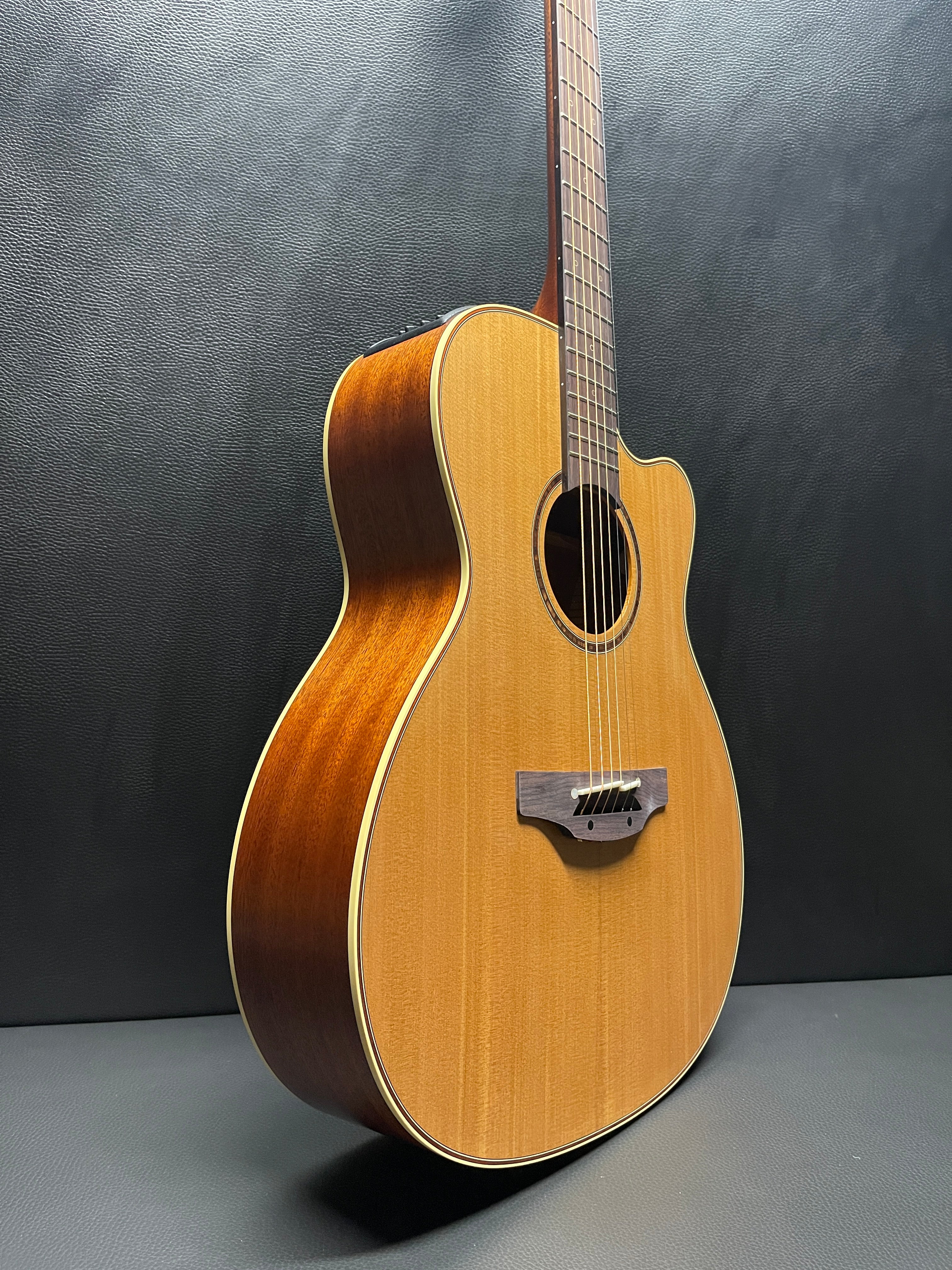 Takamine Guitars – Guitar HAUS