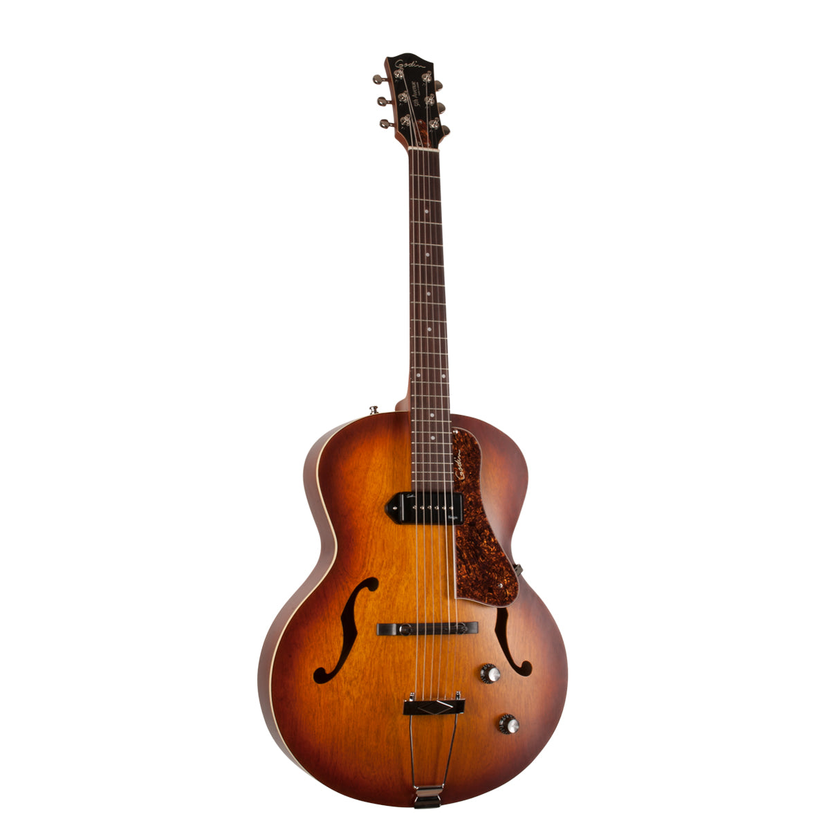 Godin acoustic guitars on sale for sale