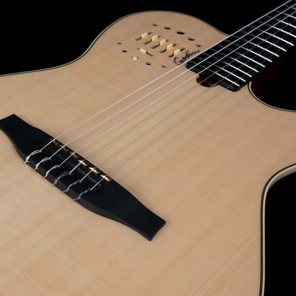 Godin Multiac Nylon Deluxe Acoustic Electric