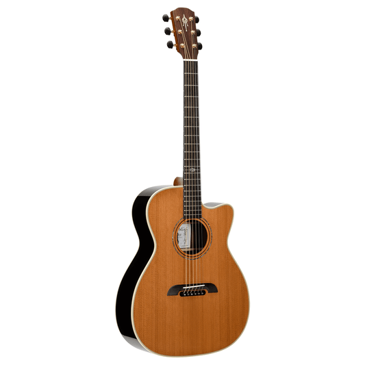 Alvarez FYM74ce Yairi Series