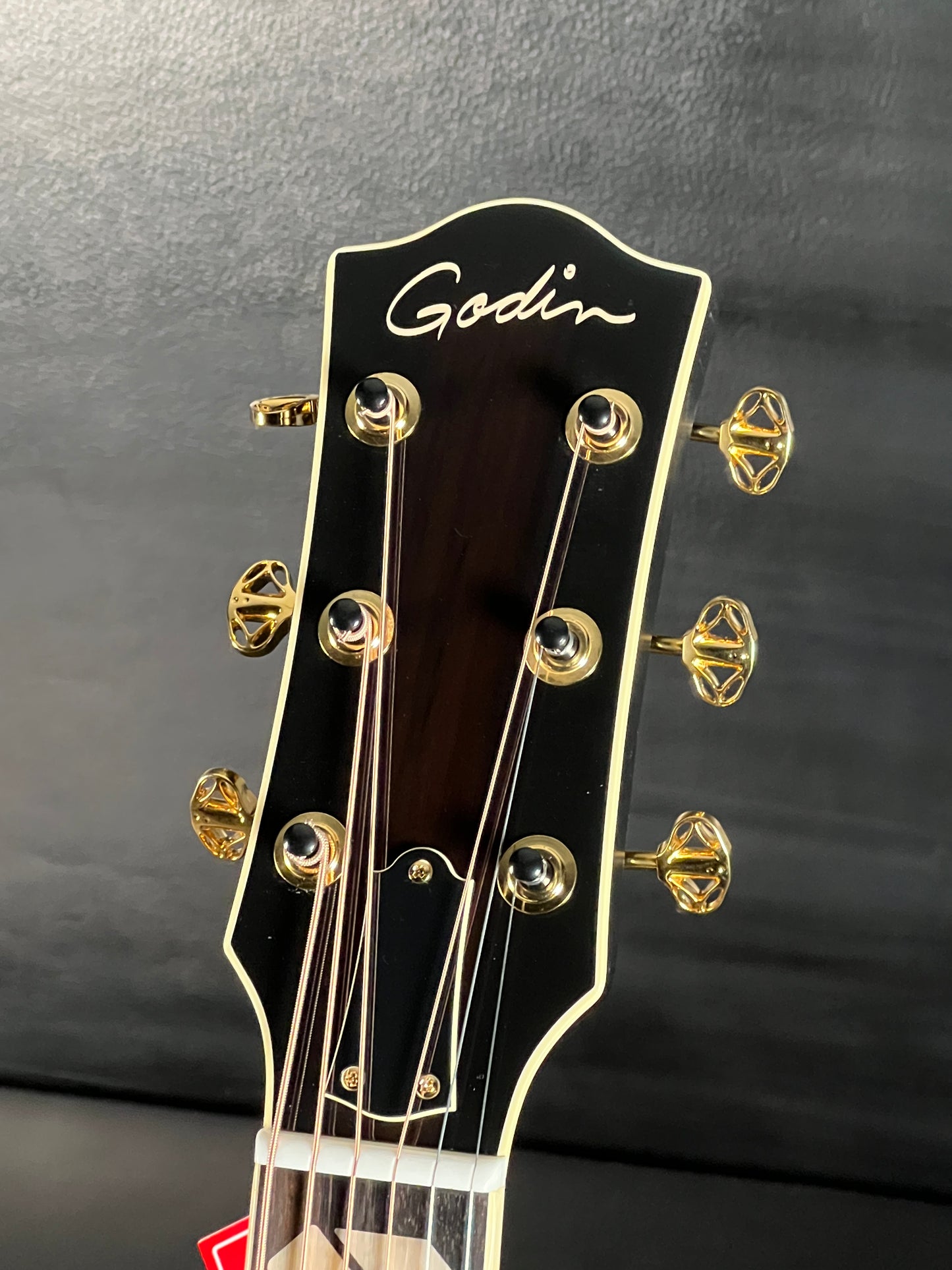 Godin Connaisseur Rosewood Black