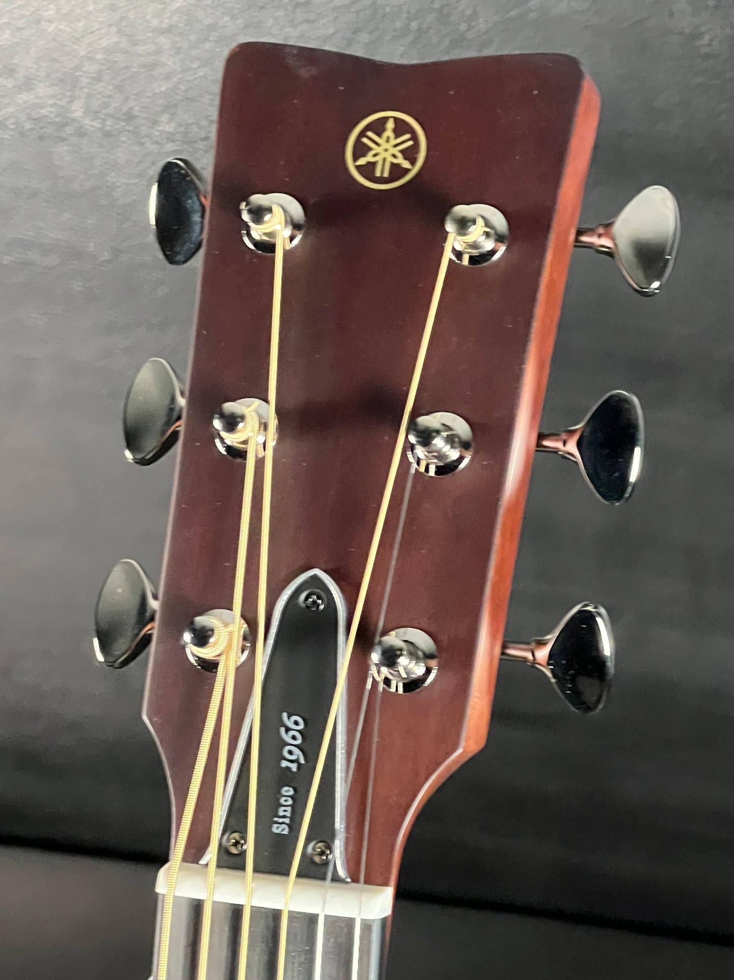 Yamaha FGX3 Red Label w/Gig Bag #ILX311059
