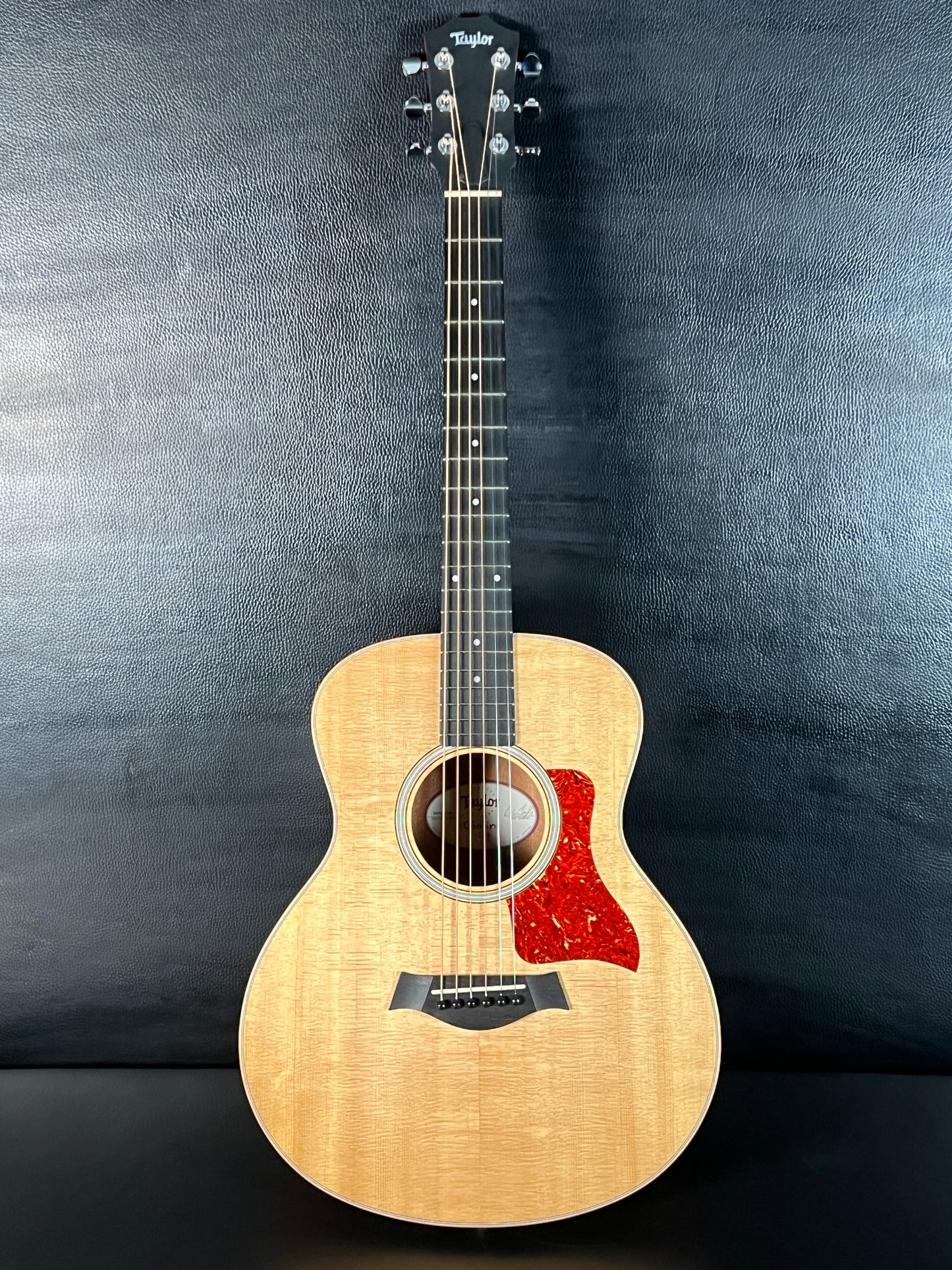 Taylor GS Mini (PRE-OWNED)