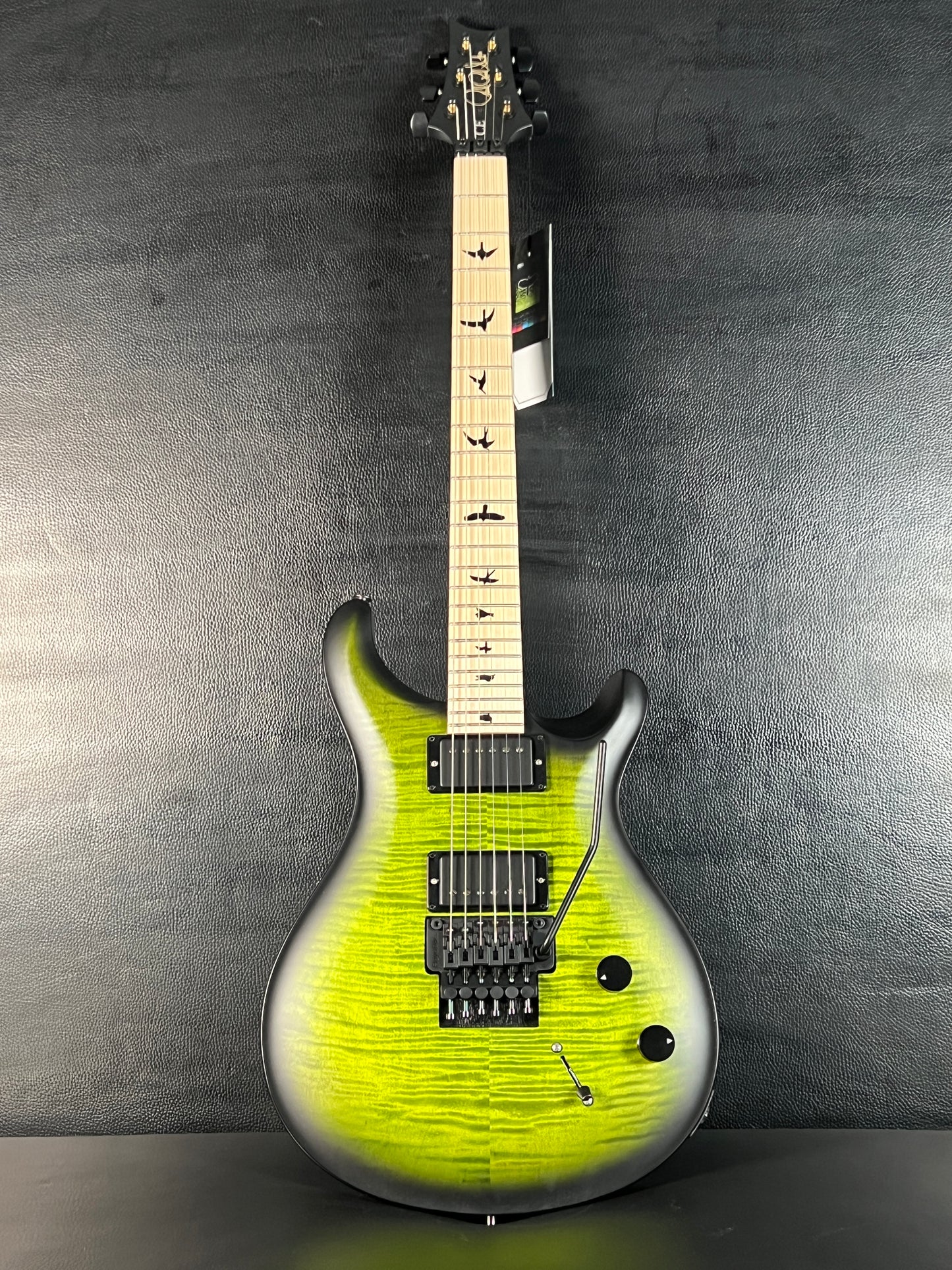 PRS DW CE 24 “Floyd” Jade Smokeburst Electric Guitar