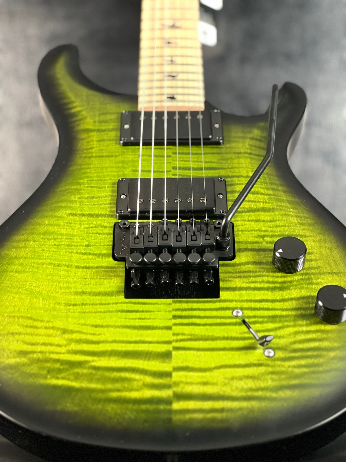 PRS DW CE 24 “Floyd” Jade Smokeburst Electric Guitar