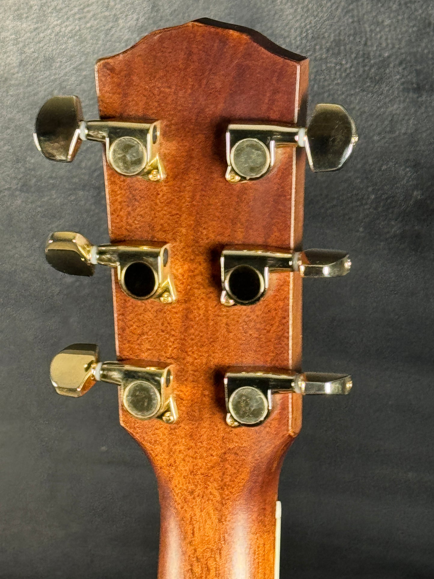 Fender CD-220SCE Exotics Ash Burl (PRE-OWNED)