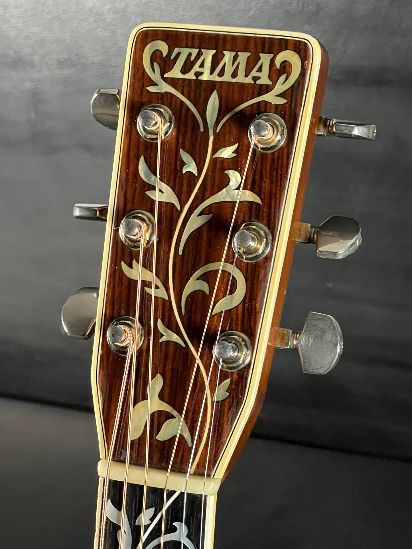 Tama Tree of Life Acoustic Guitar (PRE-OWNED)
