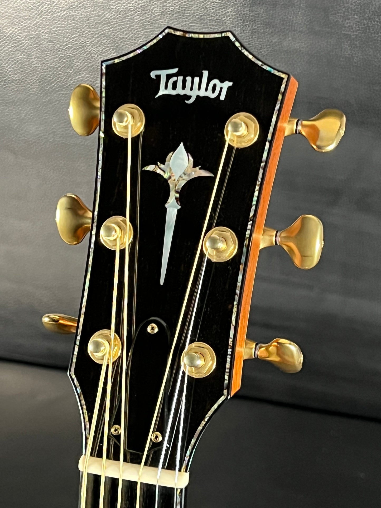 Taylor PS14ce (PRE-OWNED)