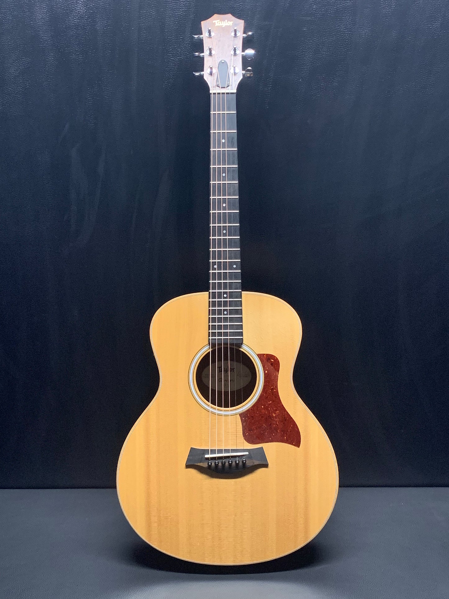 Taylor GS Mini (PRE-OWNED)