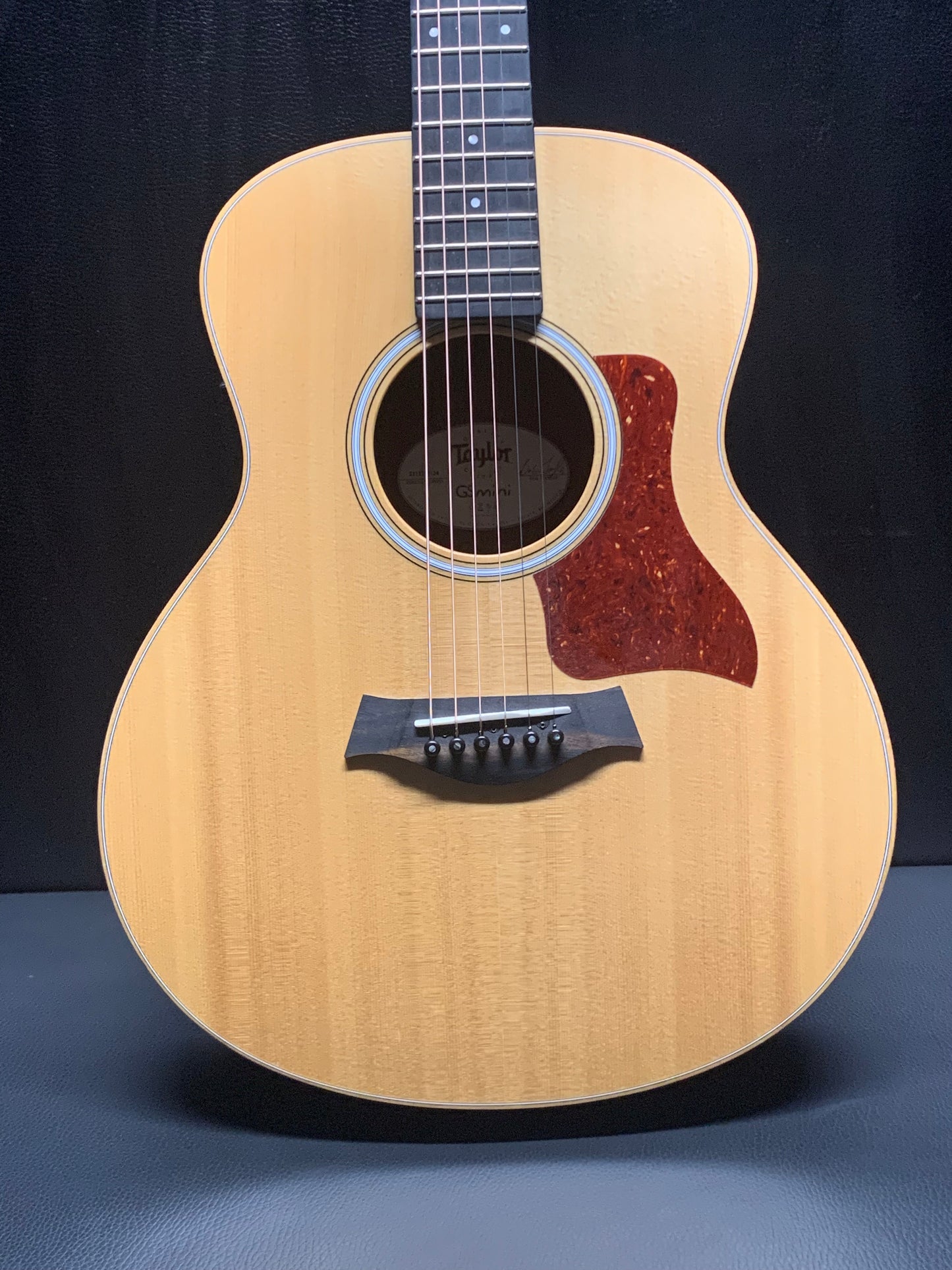 Taylor GS Mini (PRE-OWNED)