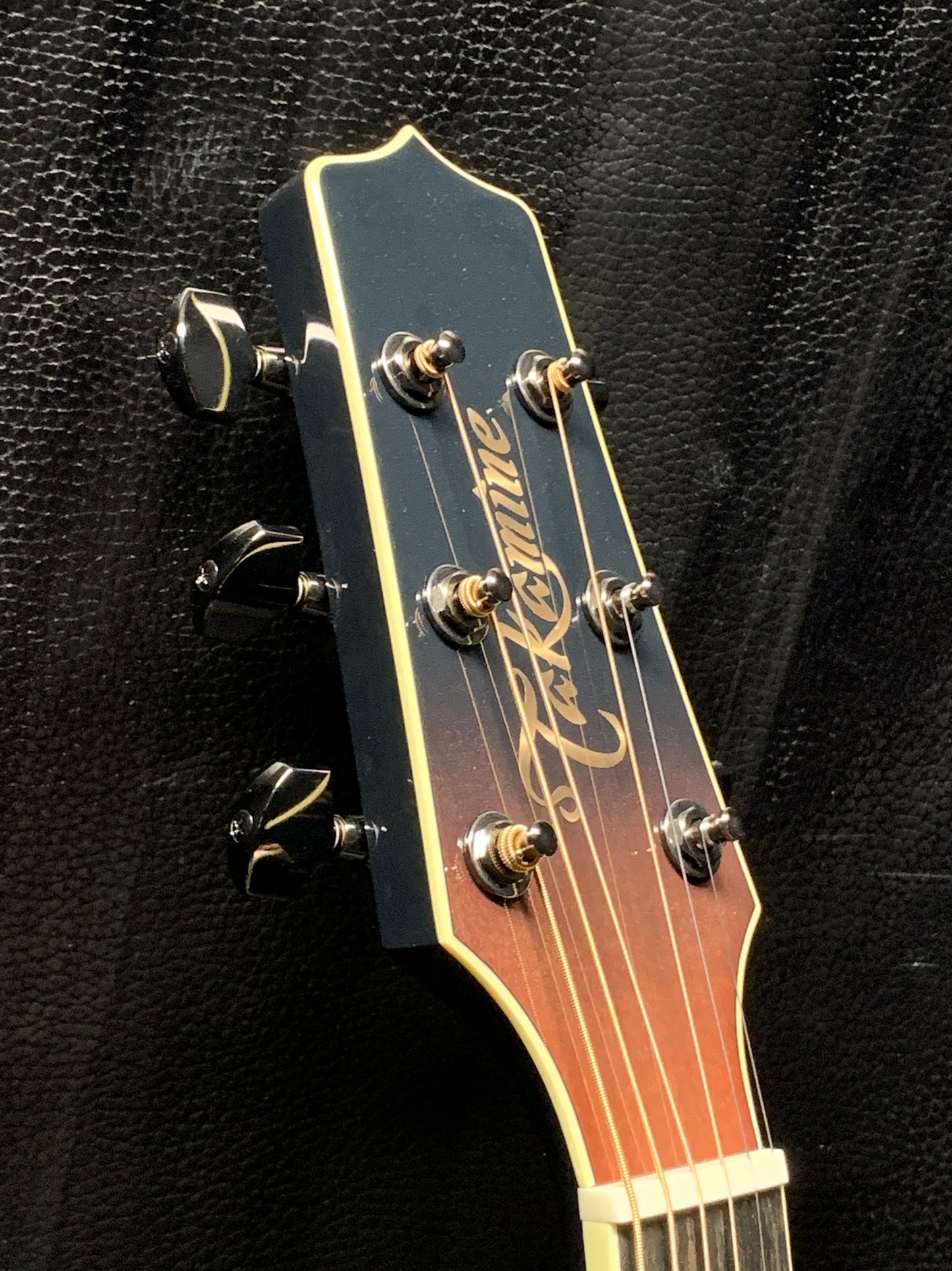 Takamine LTD2024 Solar System