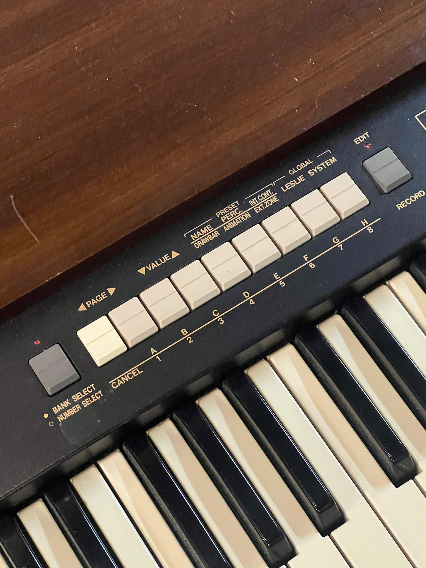 Hammond XK2  61-Key Portable Organ with Drawbars (PRE-OWNED)