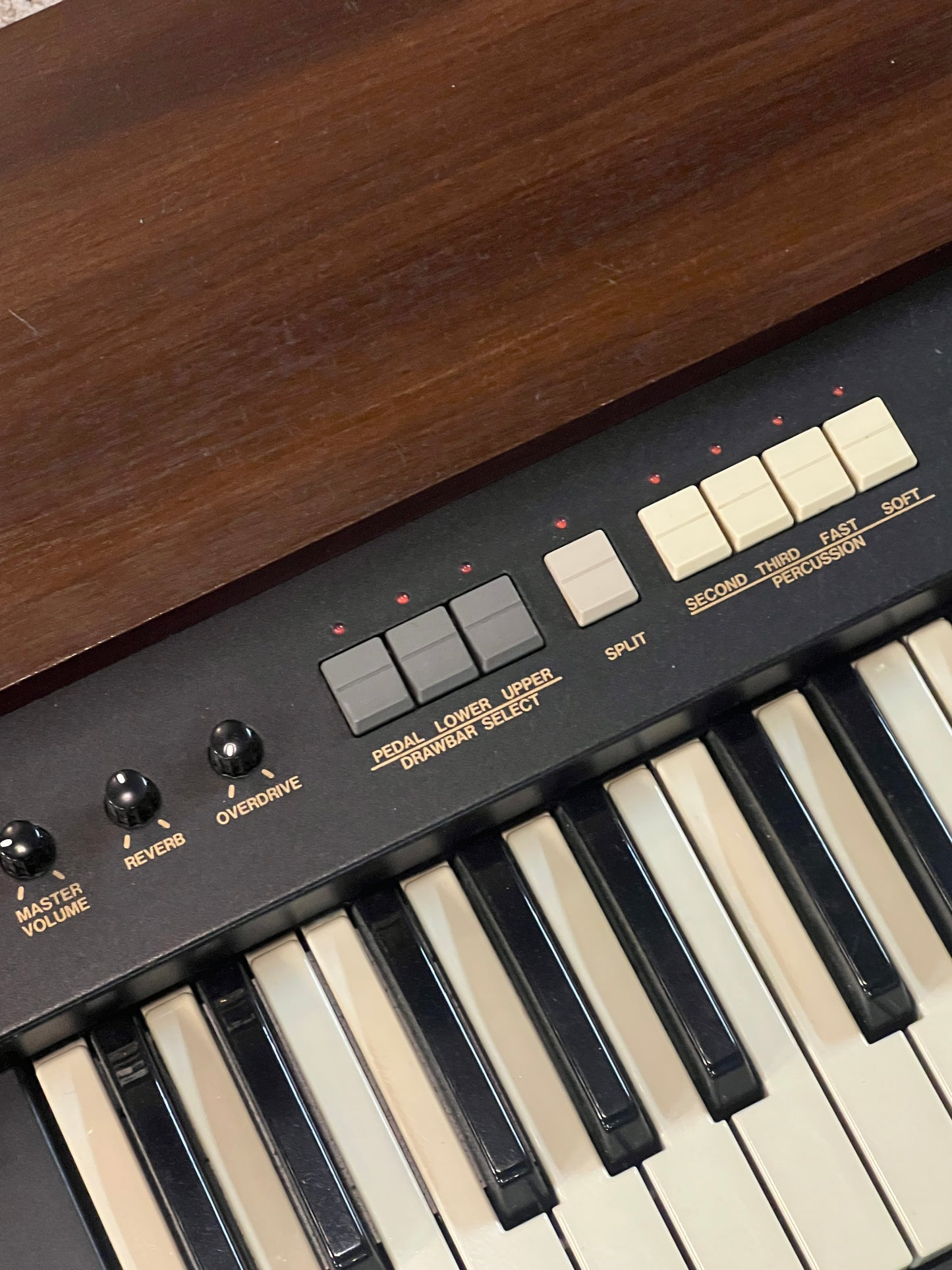 Hammond XK2  61-Key Portable Organ with Drawbars (PRE-OWNED)