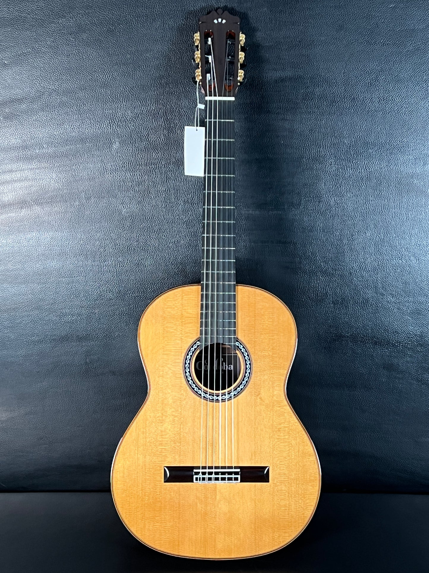 Cordoba C10 All Solid Classical Guitar with Case