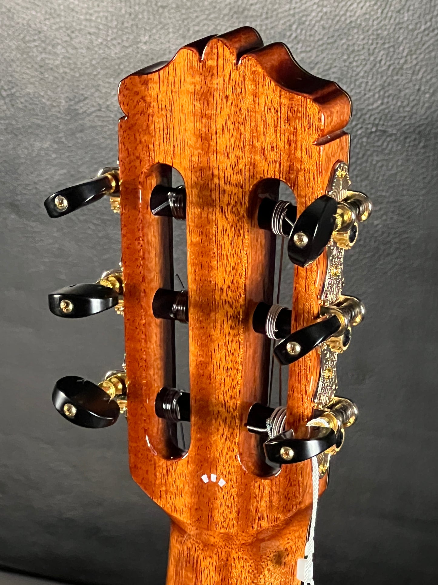 Cordoba C10 All Solid Classical Guitar with Case