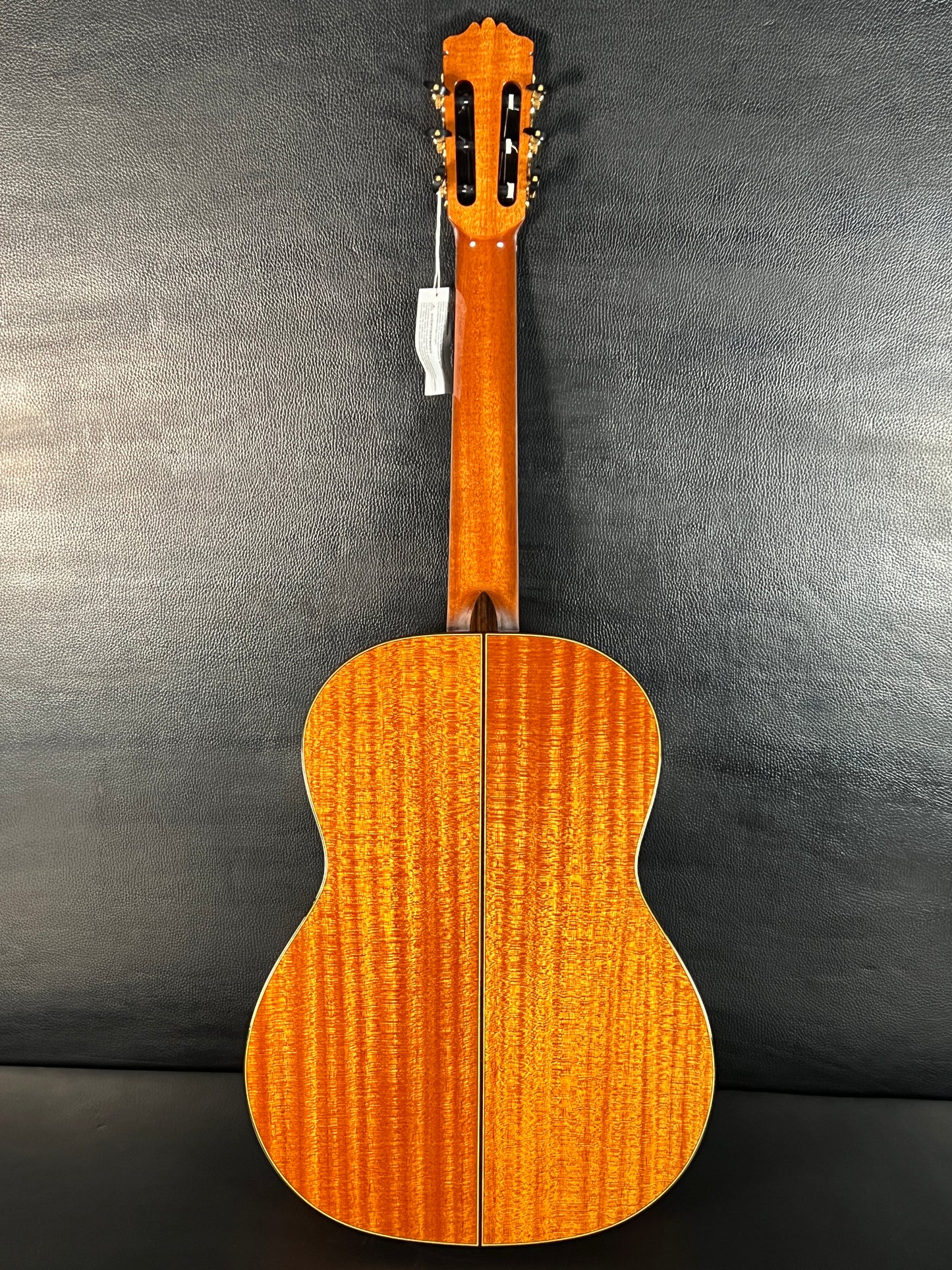 Cordoba C9 All Solid Wood Classical Guitar with Case