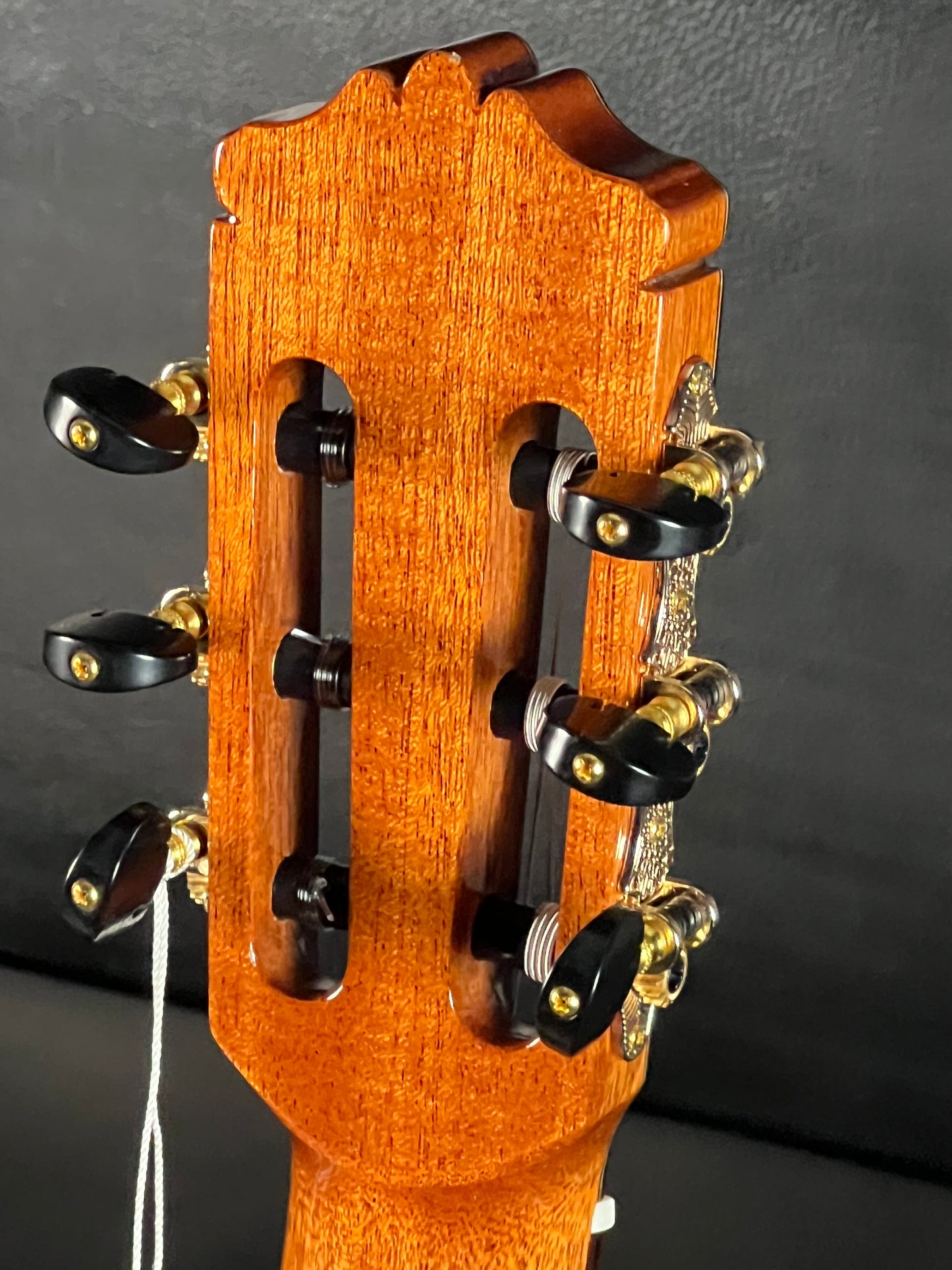 Cordoba C9 All Solid Wood Classical Guitar with Case