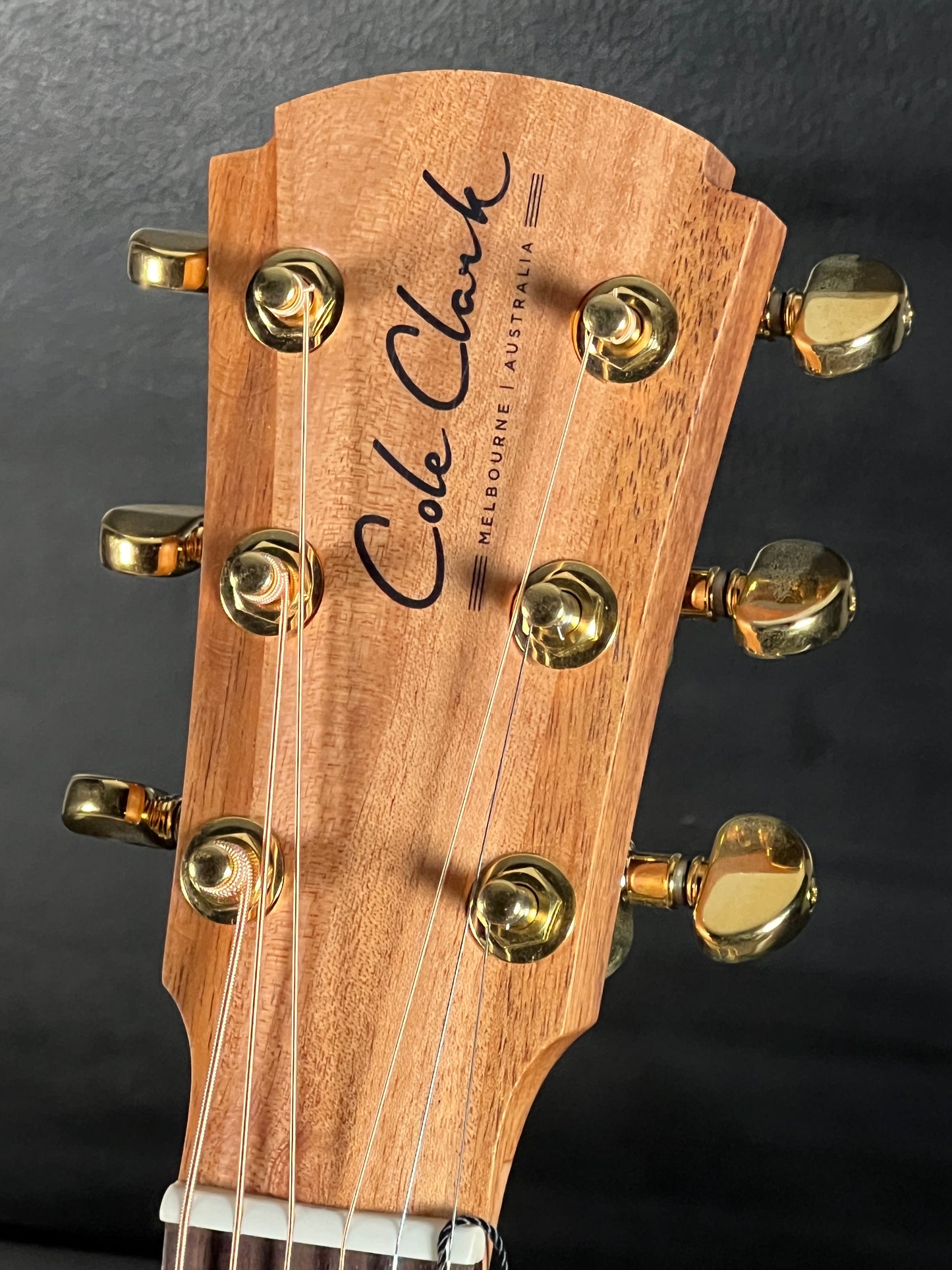 Cole Clark AN Grand Auditorium SRAN2EC-BLBLR