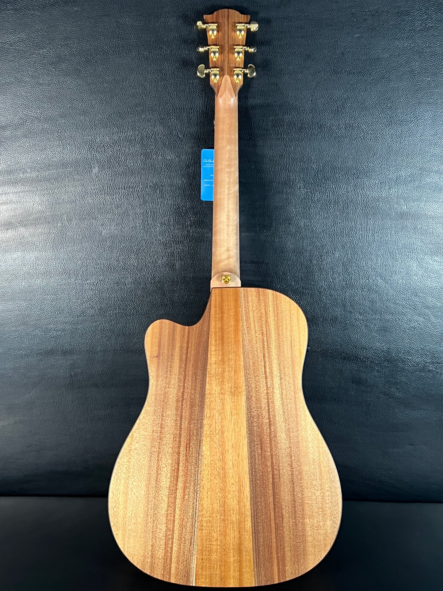 Cole Clark FL Dreadnought FL2EC-BLBLR