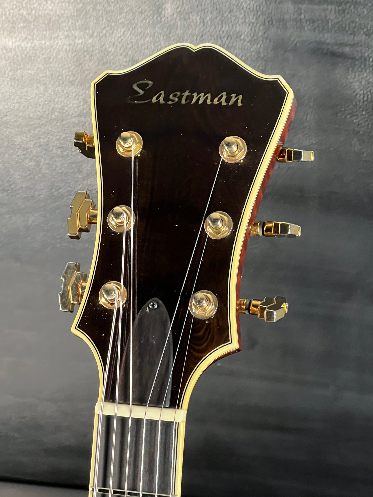 Eastman Jazz Box AR810CE w/ HardCase (PRE-OWNED)