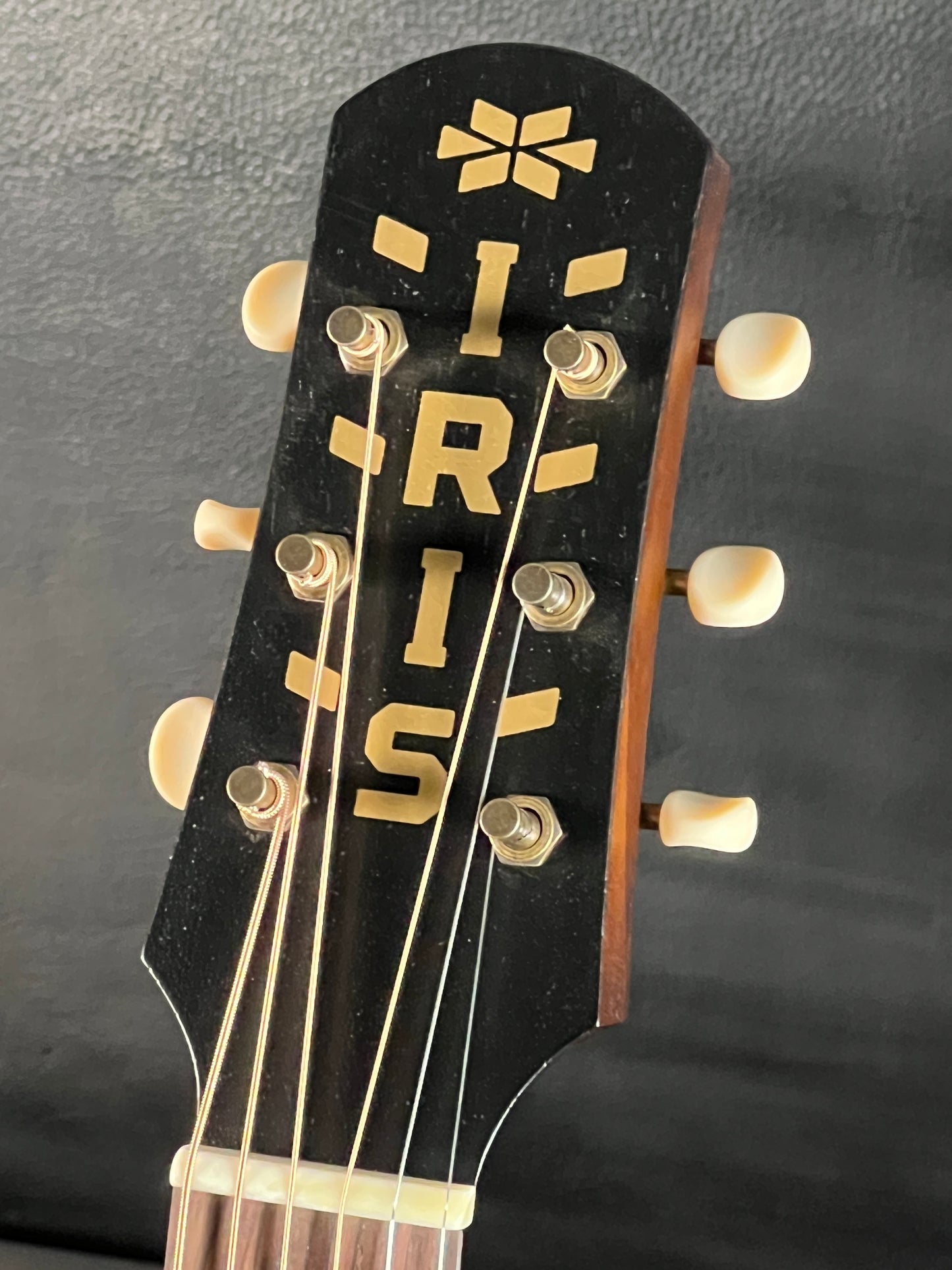 IRIS MS Iced Tea Burst #1640 (ON HOLD)