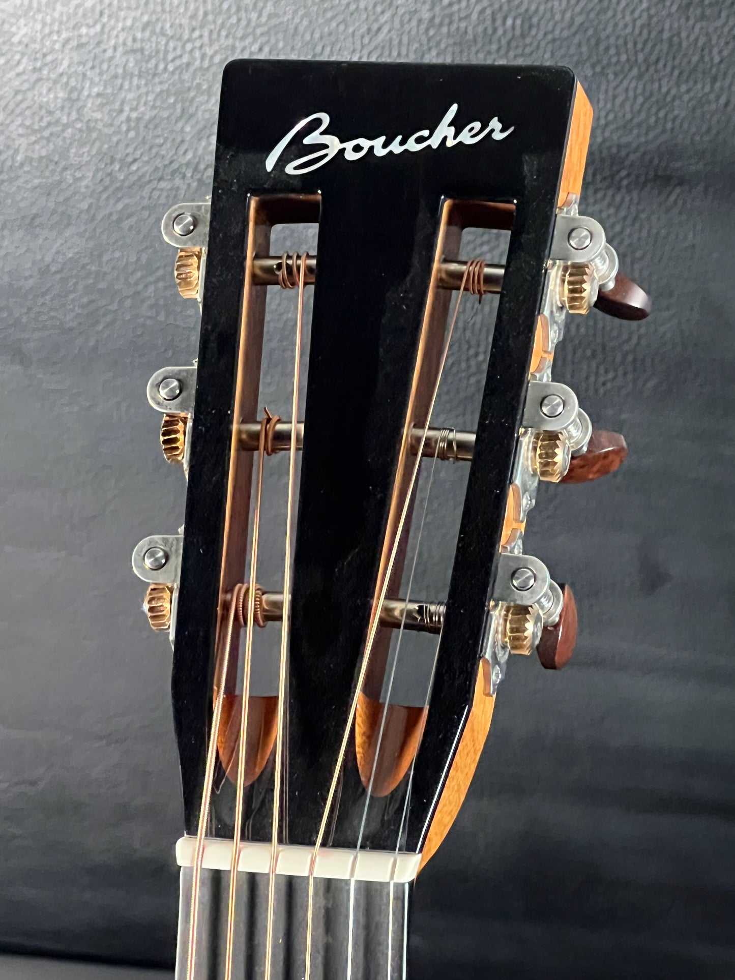 Boucher Special Edition PS-HG-166 000 12-Fret ( PRE-OWNED)