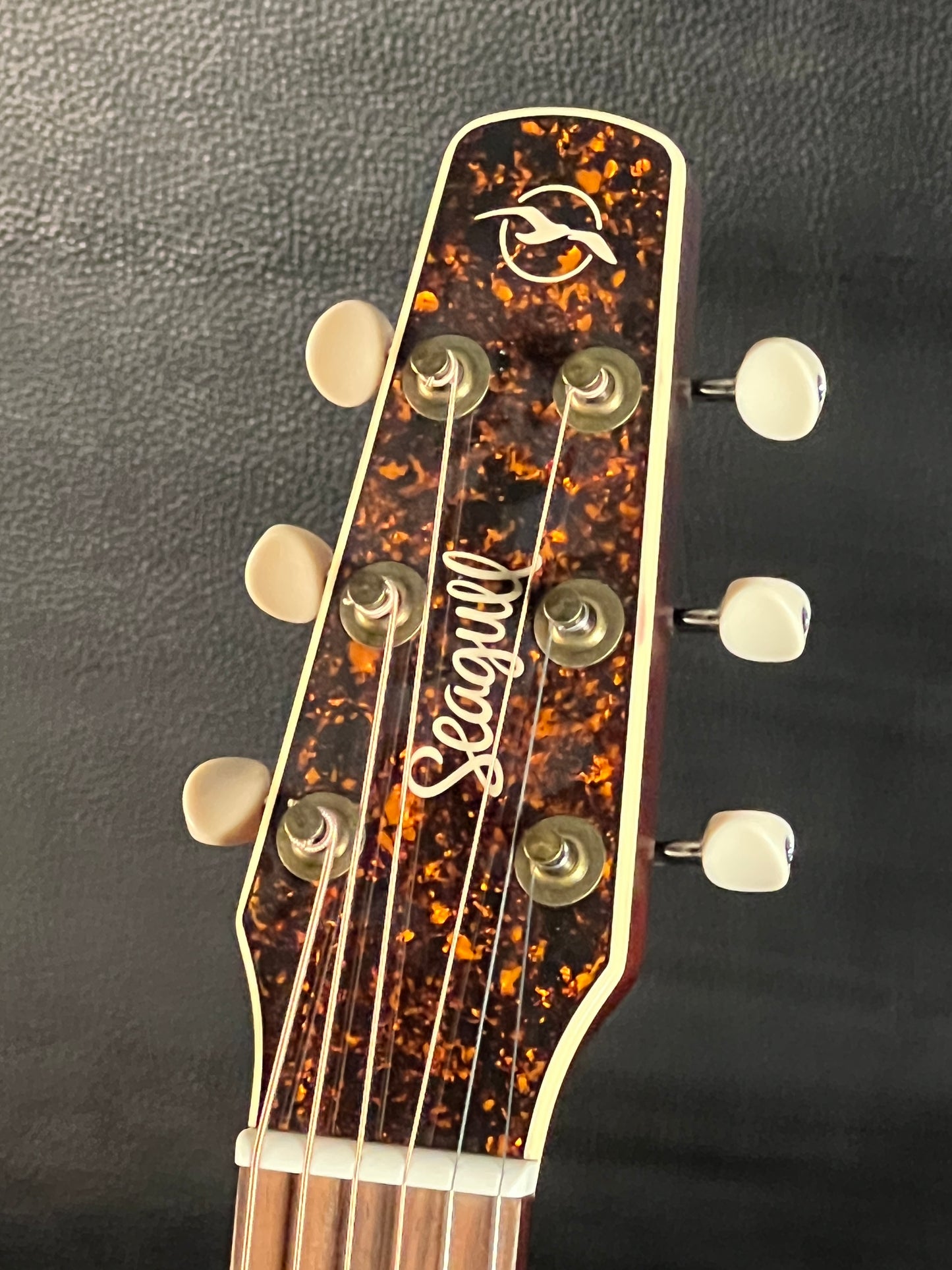 Seagull M6 LTD Ruby Red Concert Hall EQ