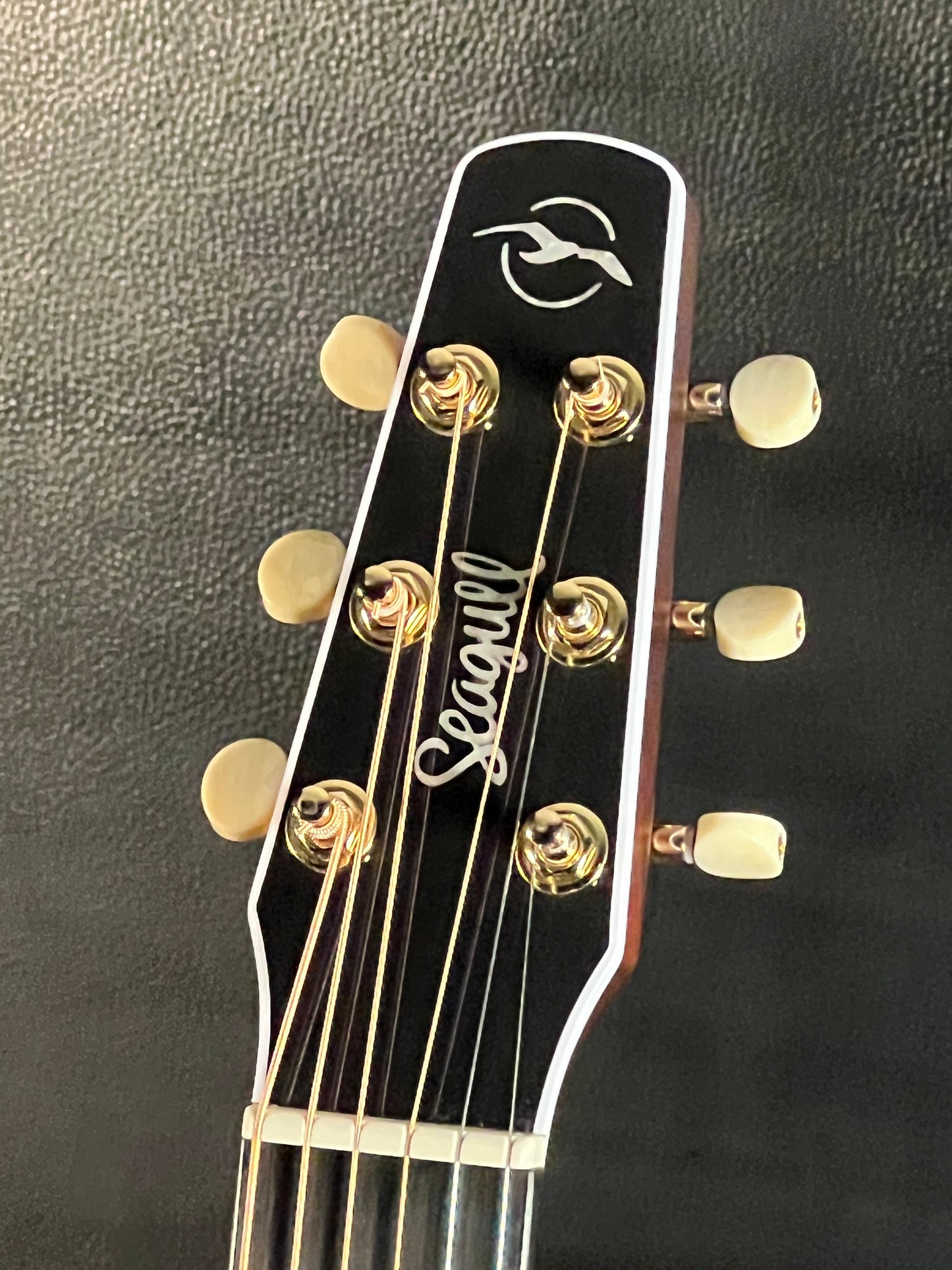 Seagull Artist Peppino Signature Cutaway Acoustic/Electric