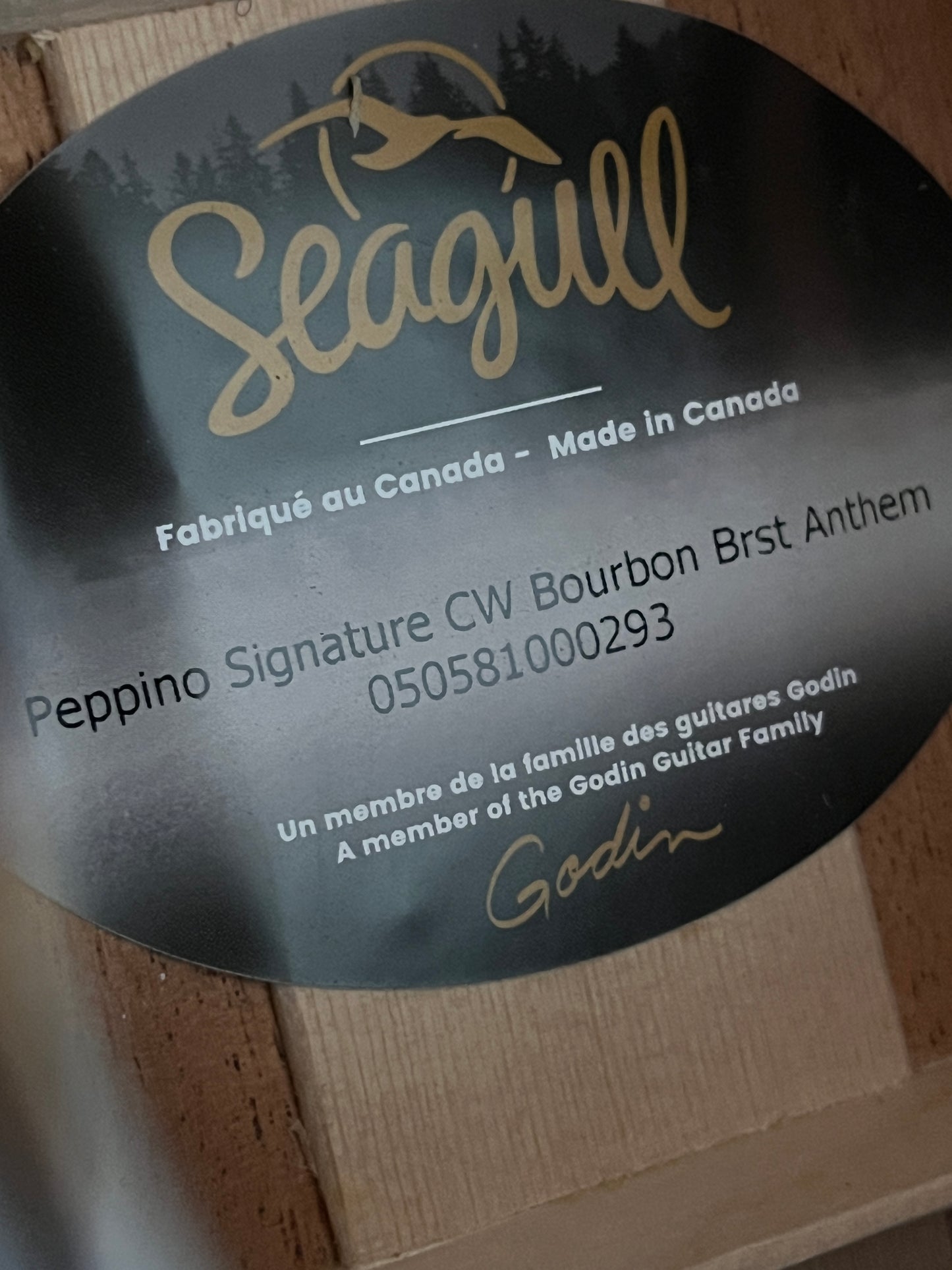 Seagull Artist Peppino Signature Cutaway Acoustic/Electric
