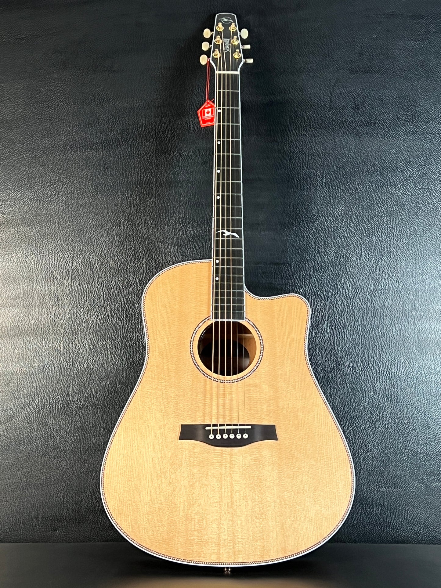 Seagull Artist Mosaic CW HG Anthem EQ w/ Gig Bag #307