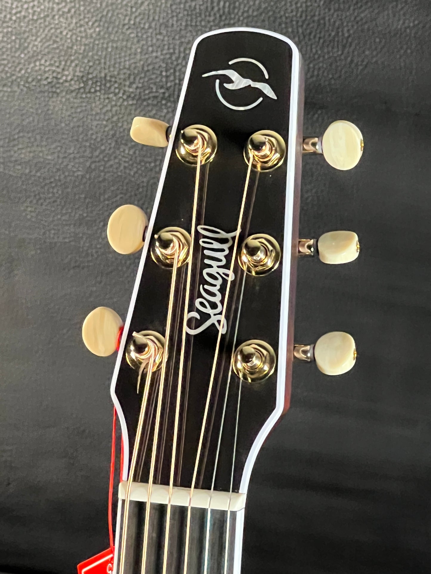 Seagull Artist Mosaic CW HG Anthem EQ w/ Gig Bag #307