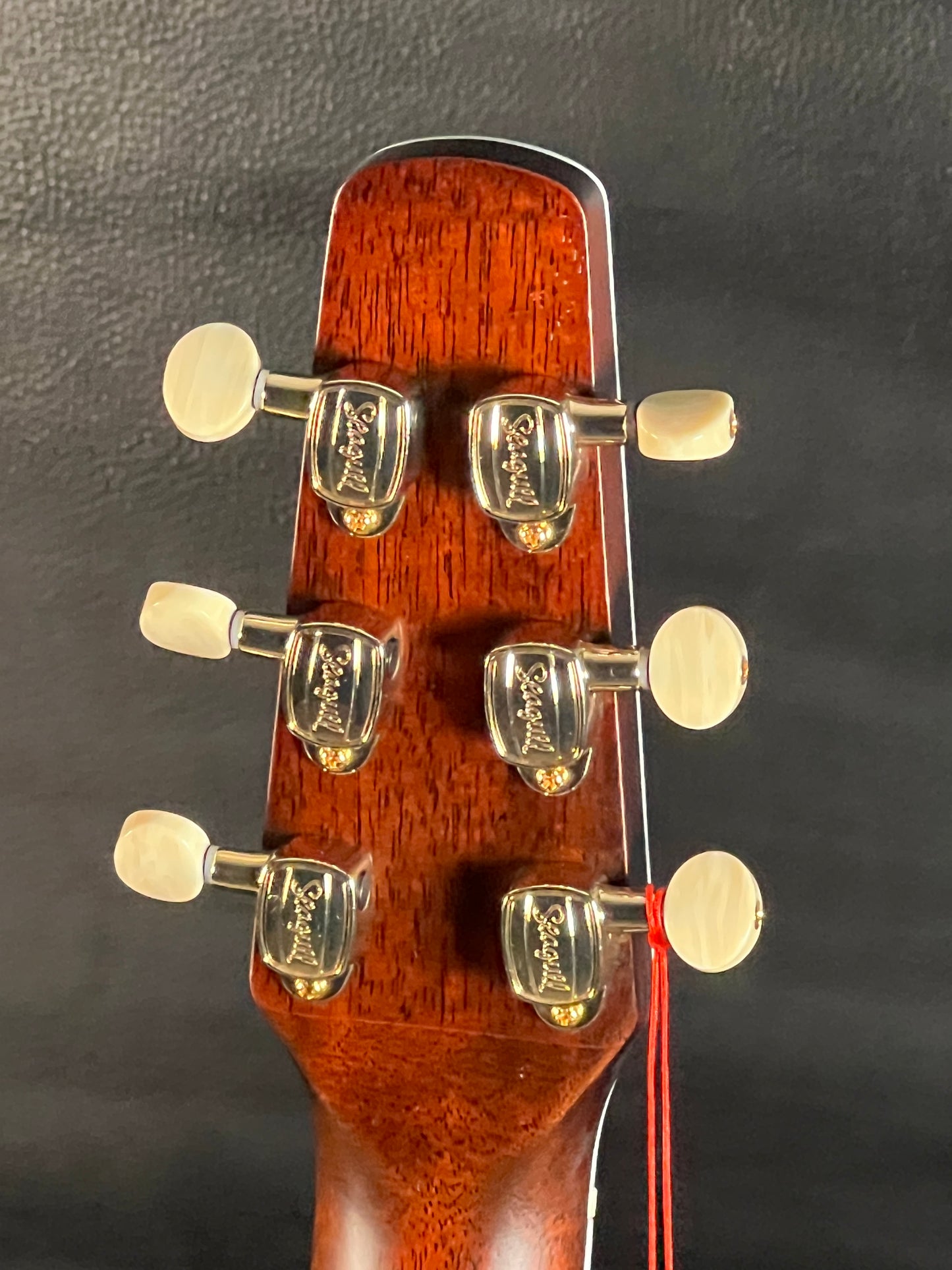Seagull Artist Mosaic CW HG Anthem EQ w/ Gig Bag #307