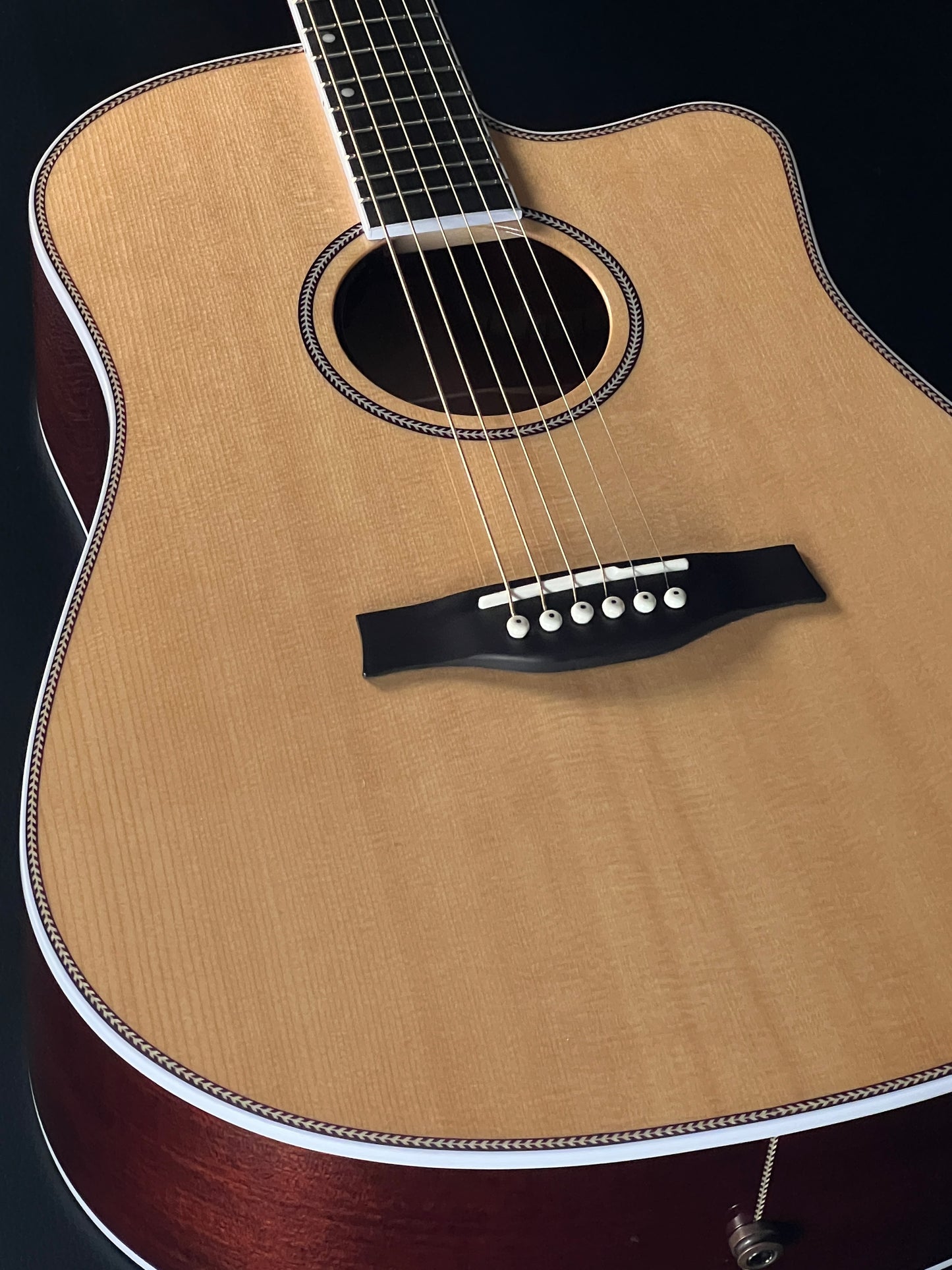 Seagull Artist Mosaic CW HG Anthem EQ w/ Gig Bag #307