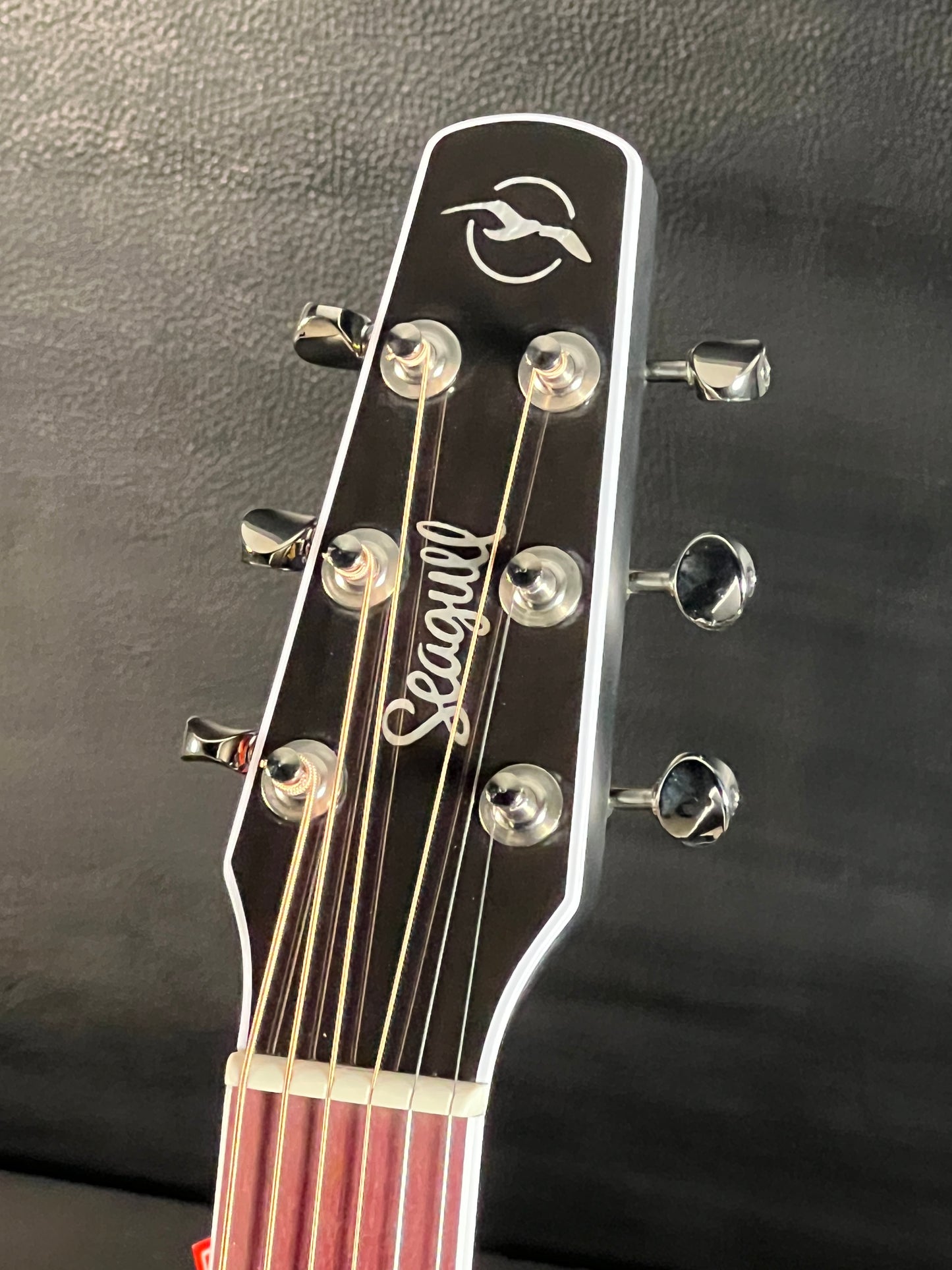 Seagull Artist Tuxedo Black Anthem EQ w/ Gig Bag