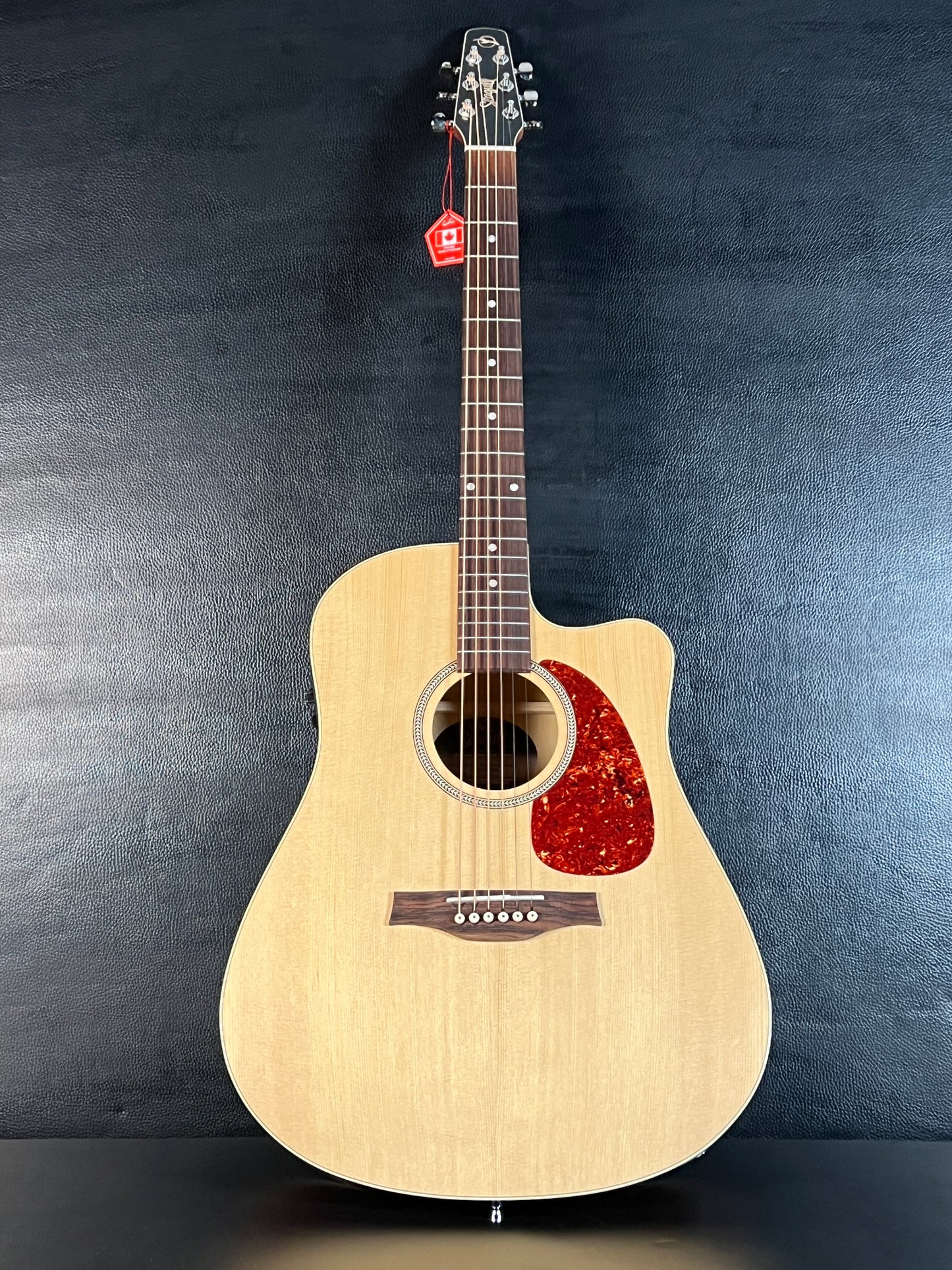 Seagull Coastline Slim CW EQ Spruce/Wild Cherry