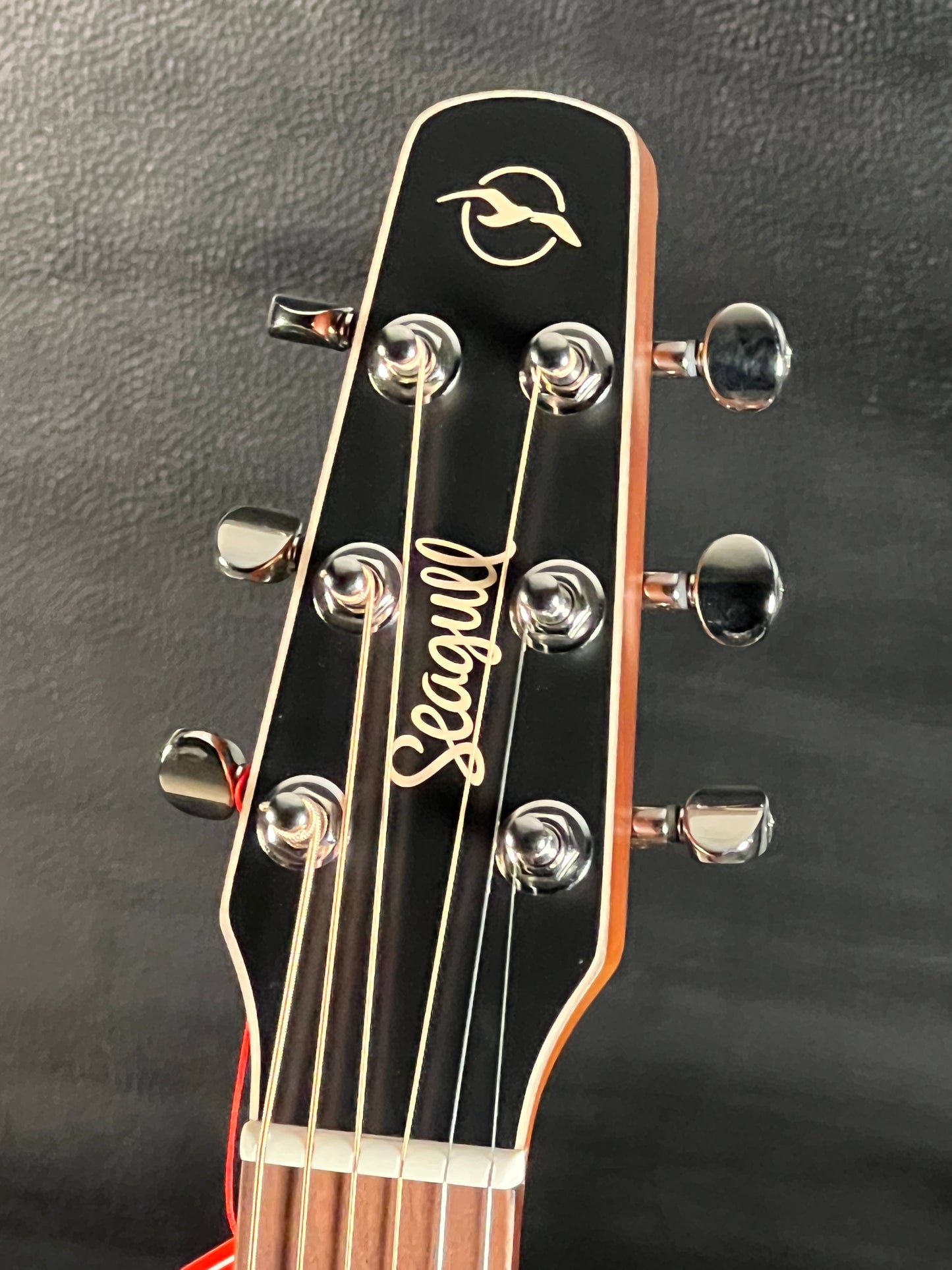 Seagull Coastline Slim CW EQ Spruce/Wild Cherry