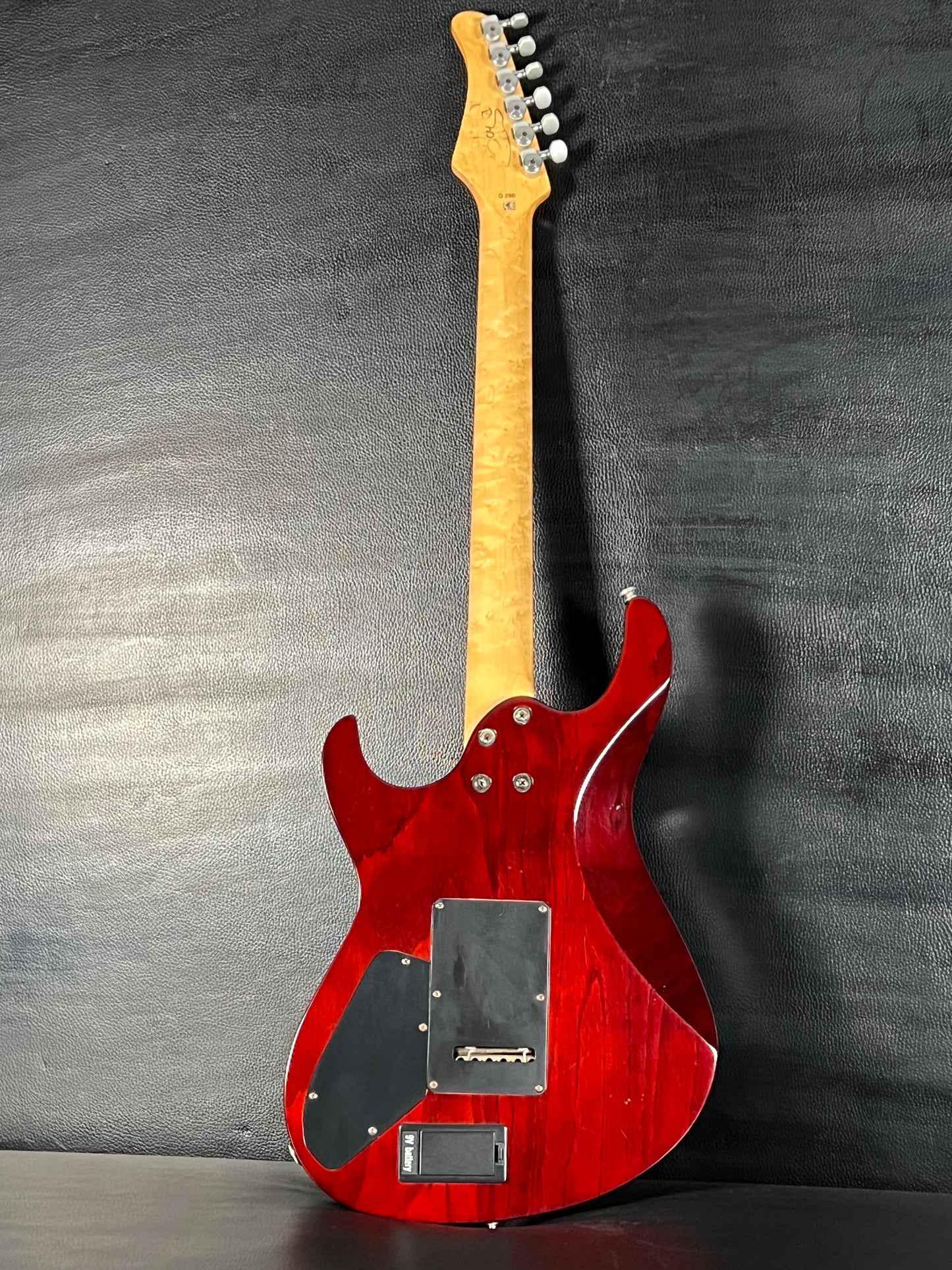 Cort G290 Quilted Maple Top with Case (PRE-OWNED)