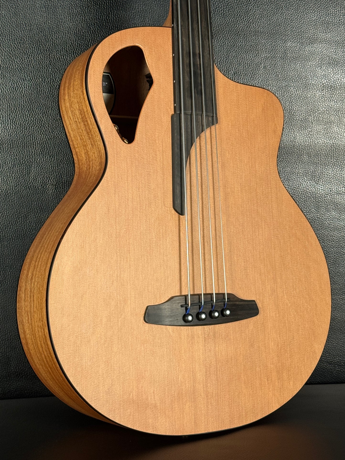 Furch BC 61-CM4 Fretless #131455