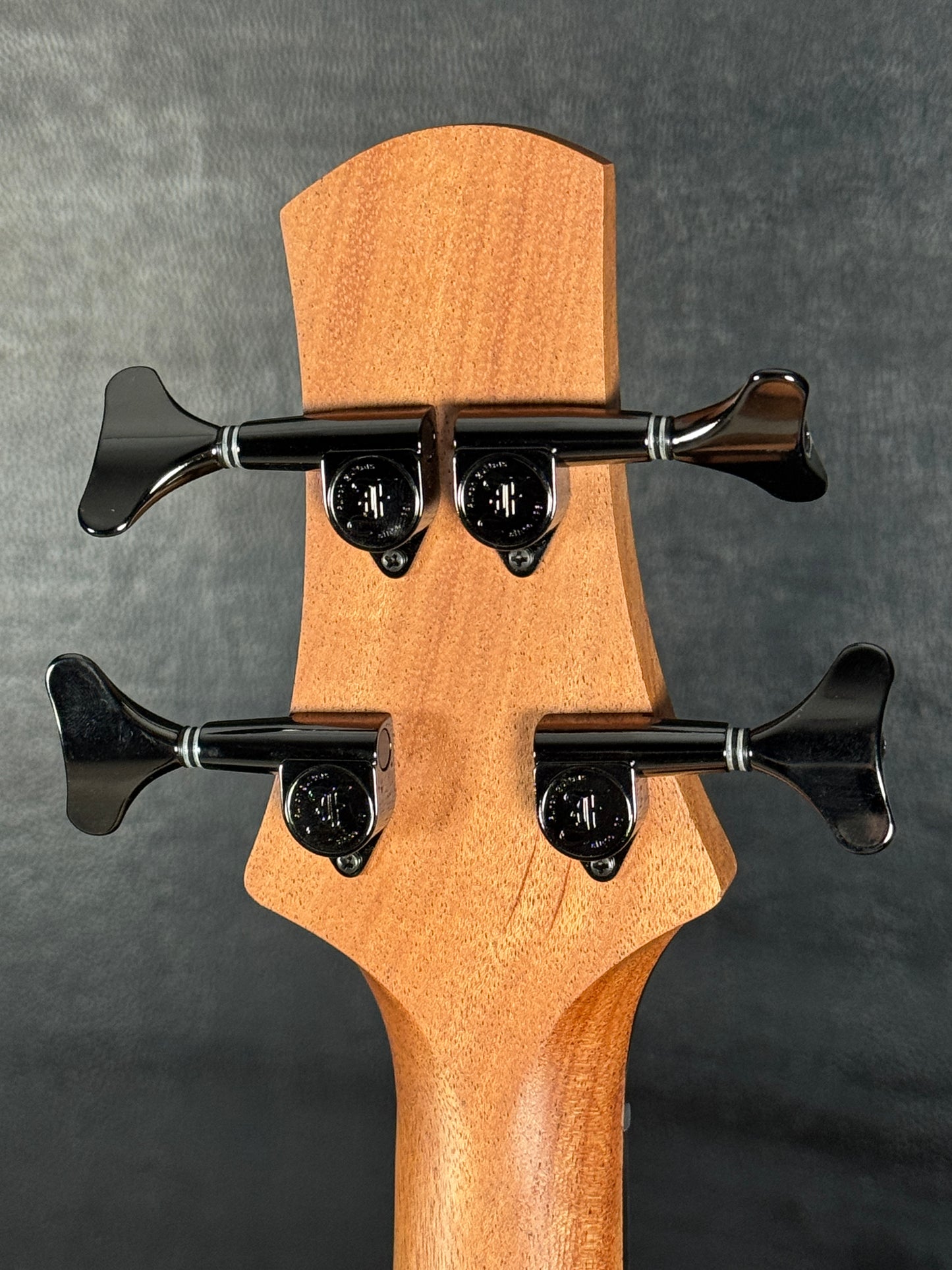 Furch BC 61-CM4 Fretless #131455