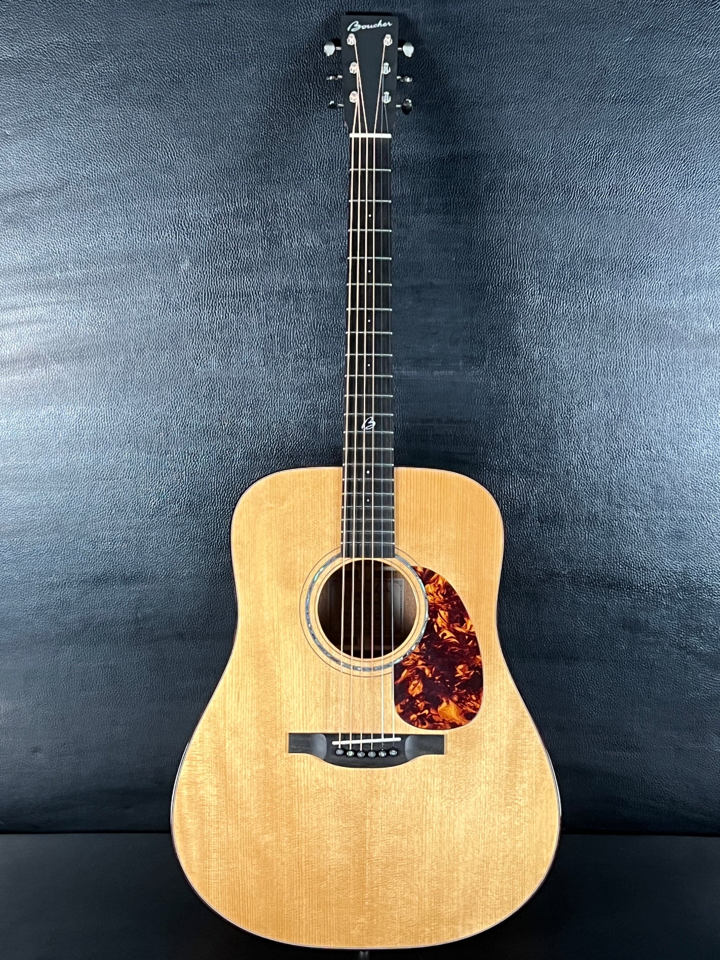 Boucher BG-42T-GM w/ K&K Pure Mini (PRE-OWNED)