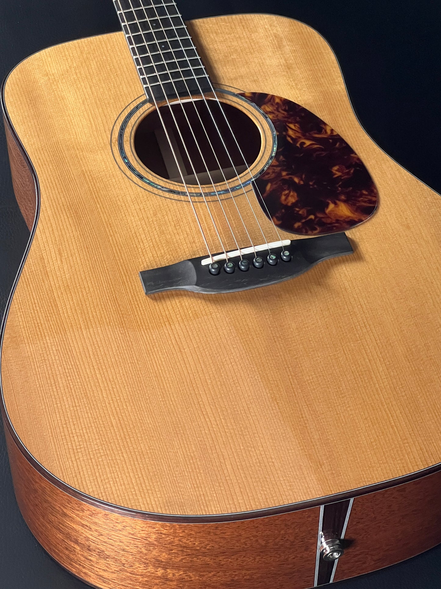 Boucher BG-42T-GM w/ K&K Pure Mini (PRE-OWNED)