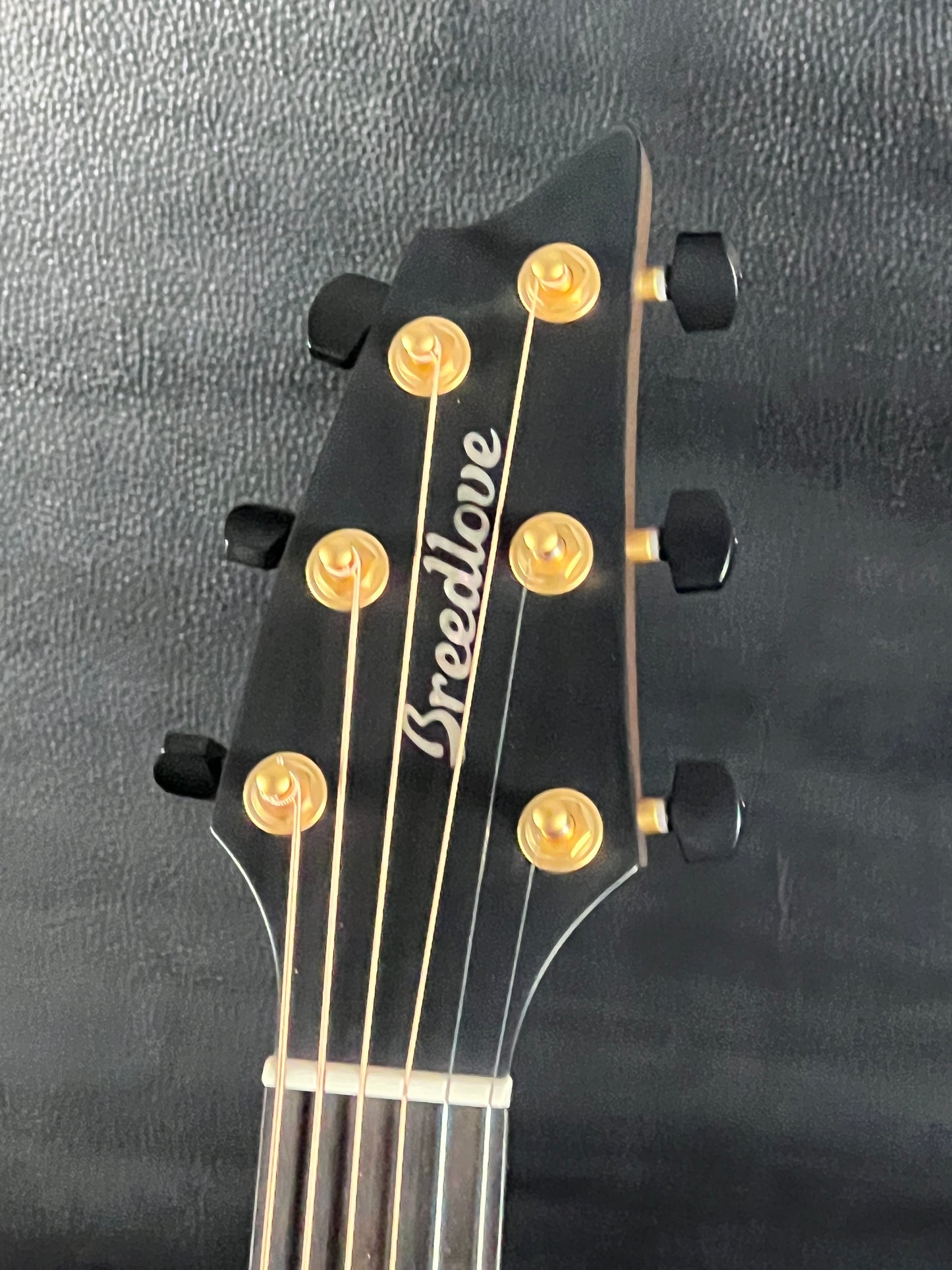 Breedlove Oregon Concert Saddleback CE (PRE-OWNED)