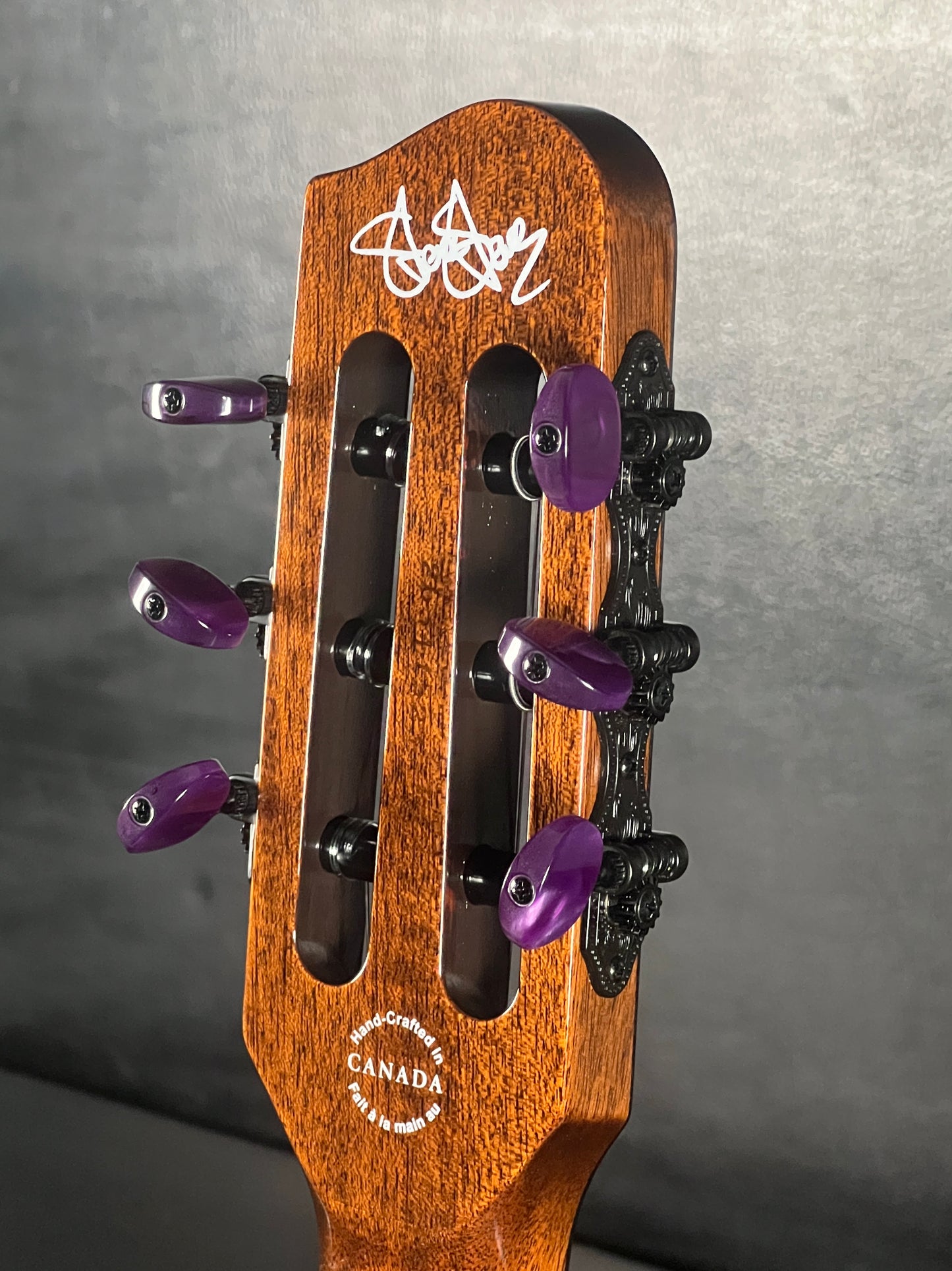 Godin ACS Nylon Steve Stevens Signature 25th Anniversary #523