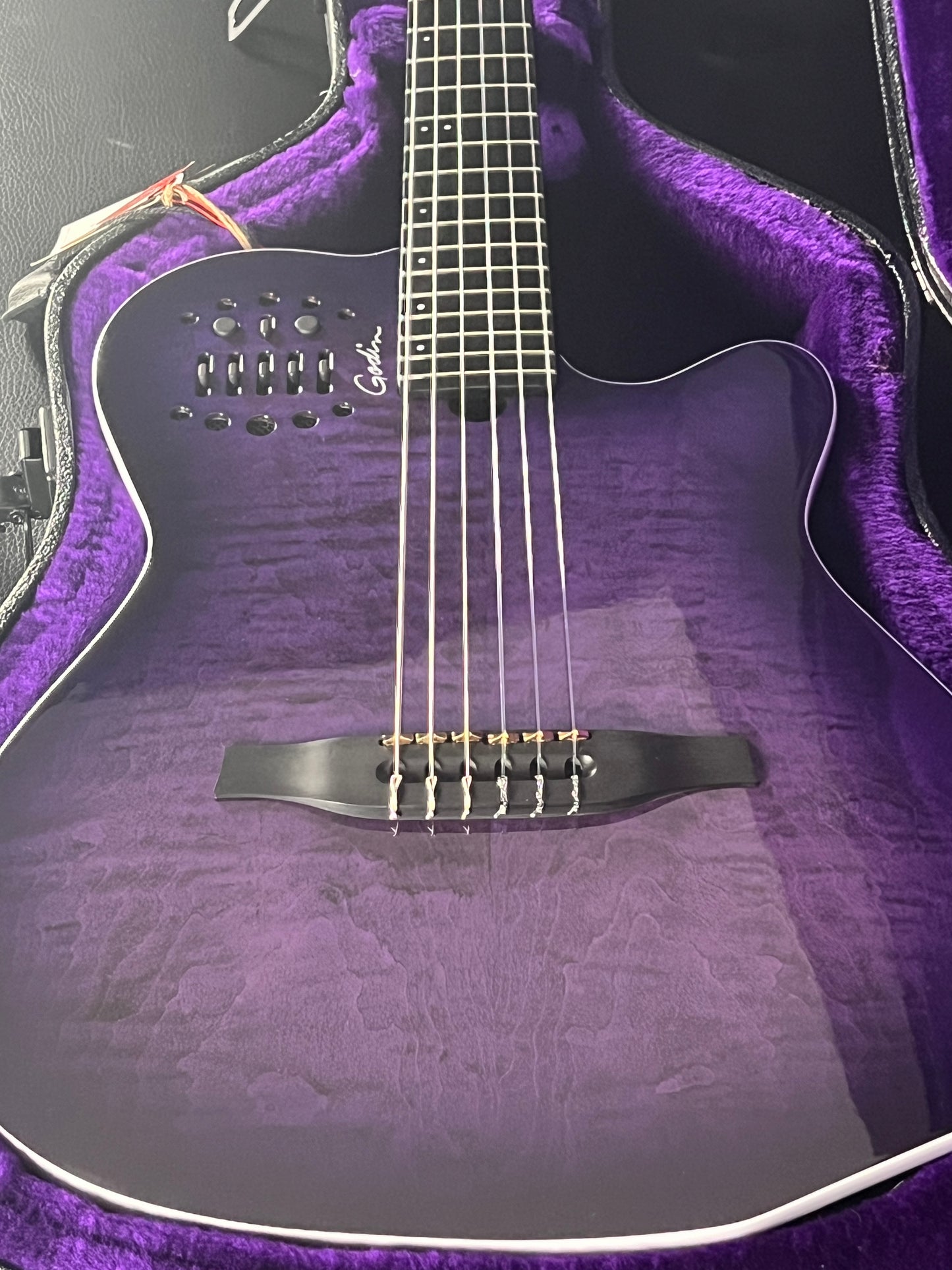 Godin ACS Nylon Steve Stevens Signature 25th Anniversary #523