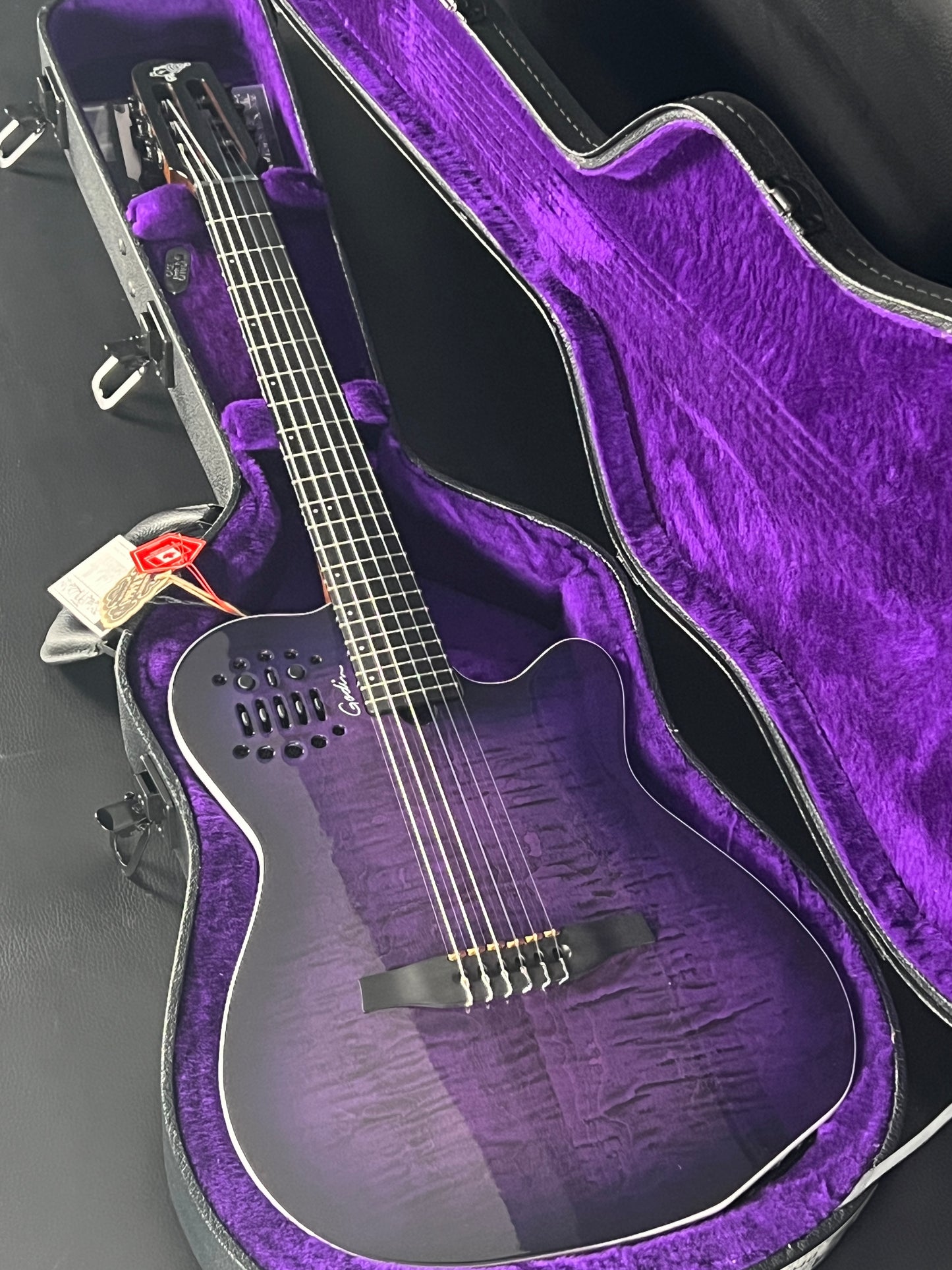 Godin ACS Nylon Steve Stevens Signature 25th Anniversary #669